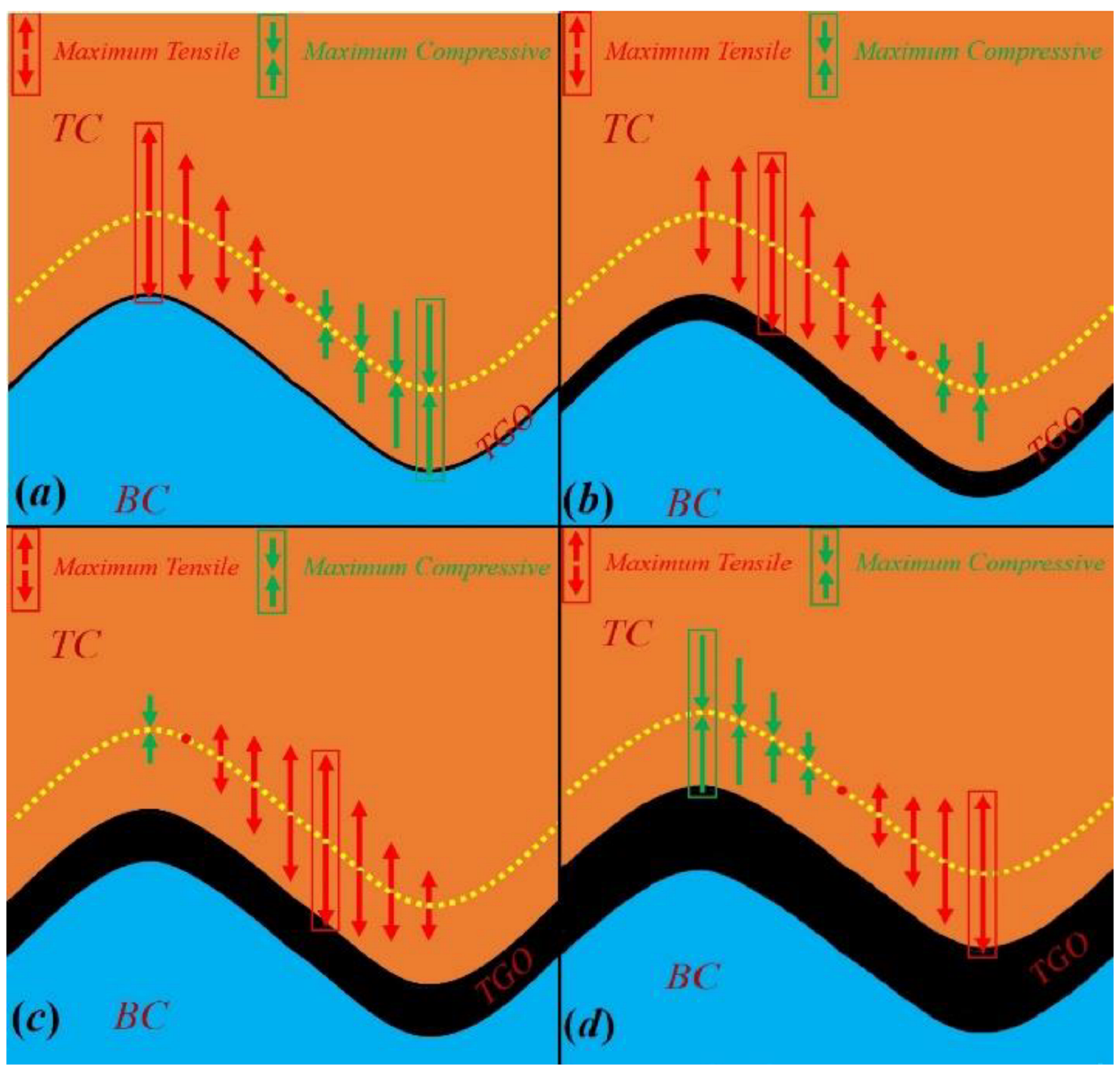 Coatings 12 01069 g005
