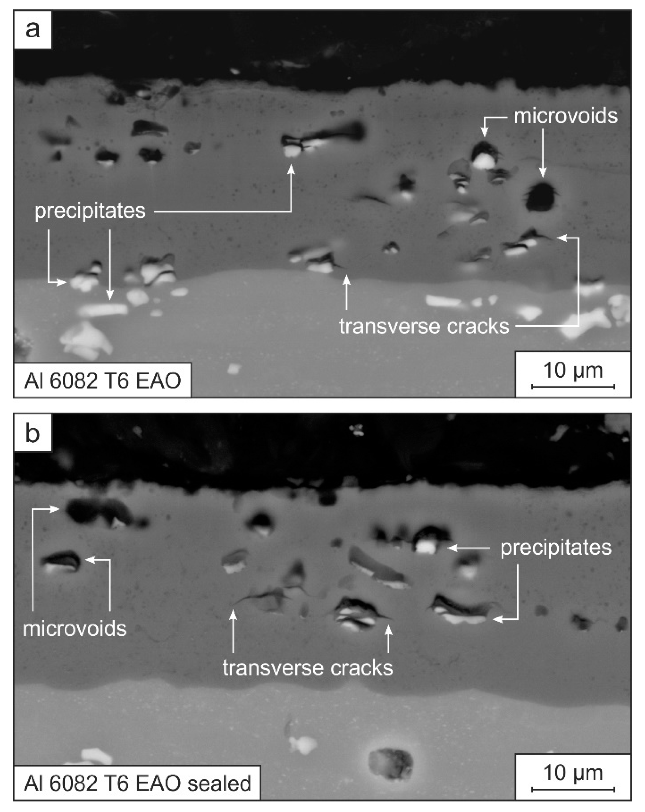 Coatings 12 01070 g002