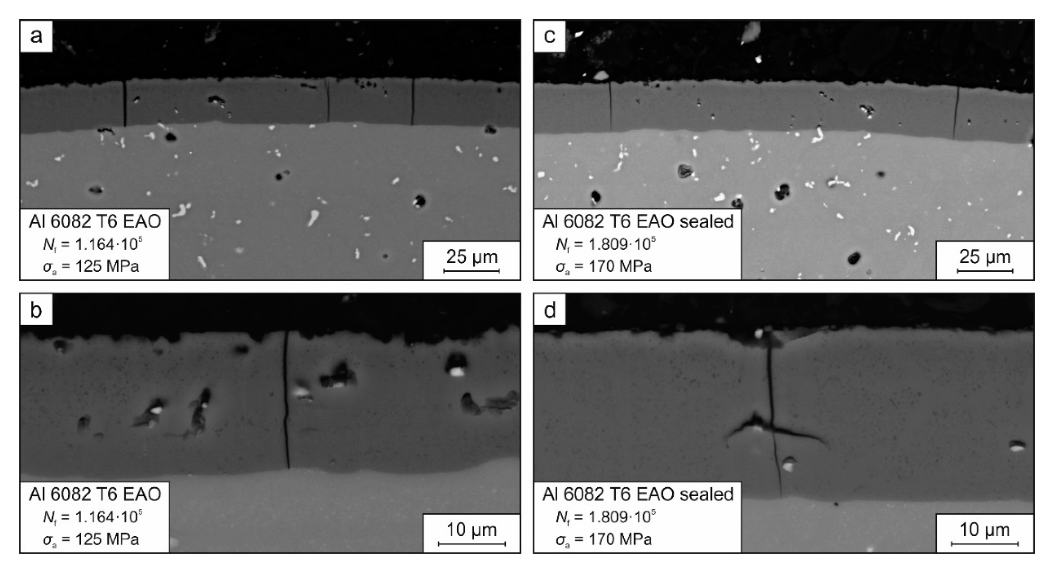 Coatings 12 01070 g005