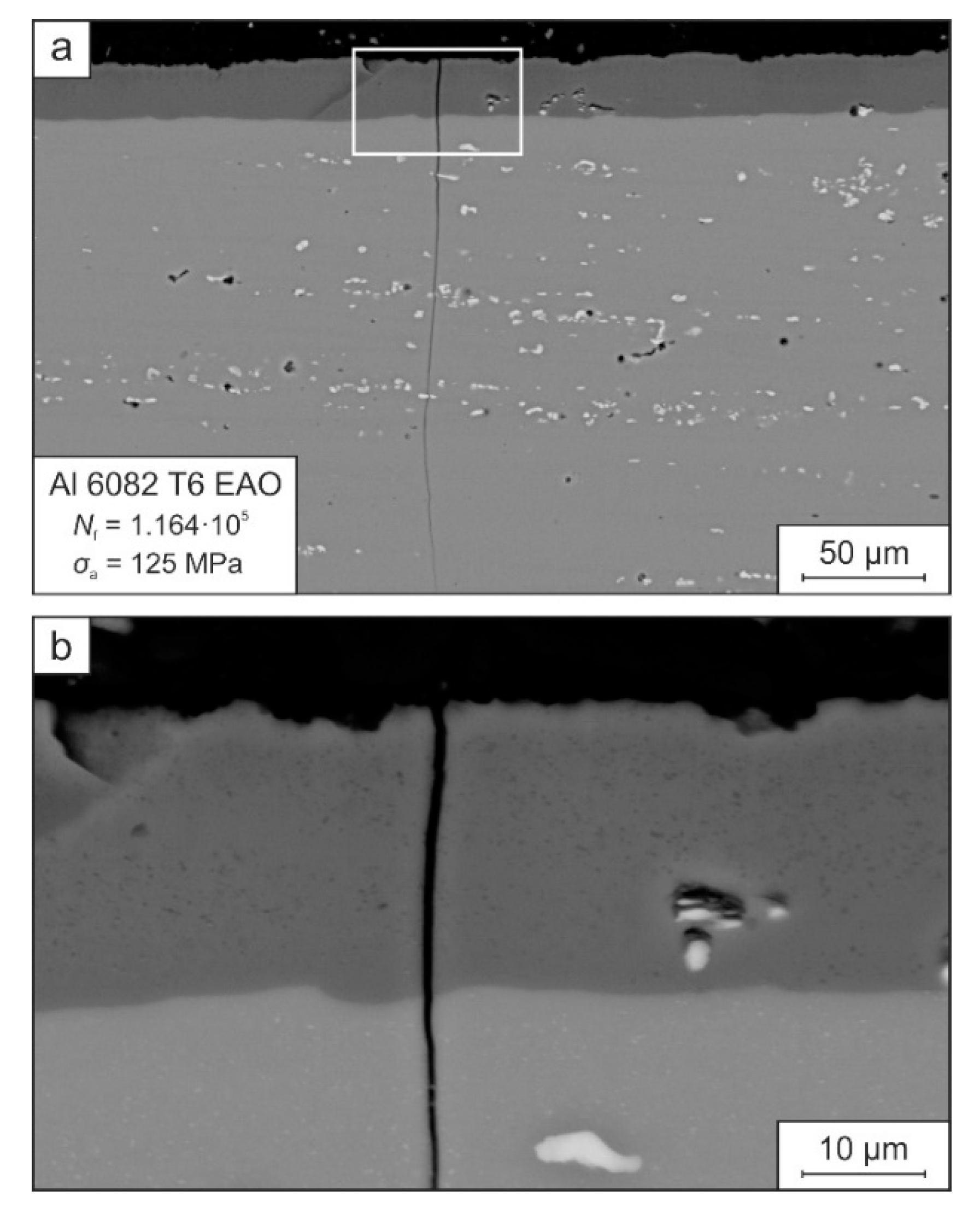 Coatings 12 01070 g006