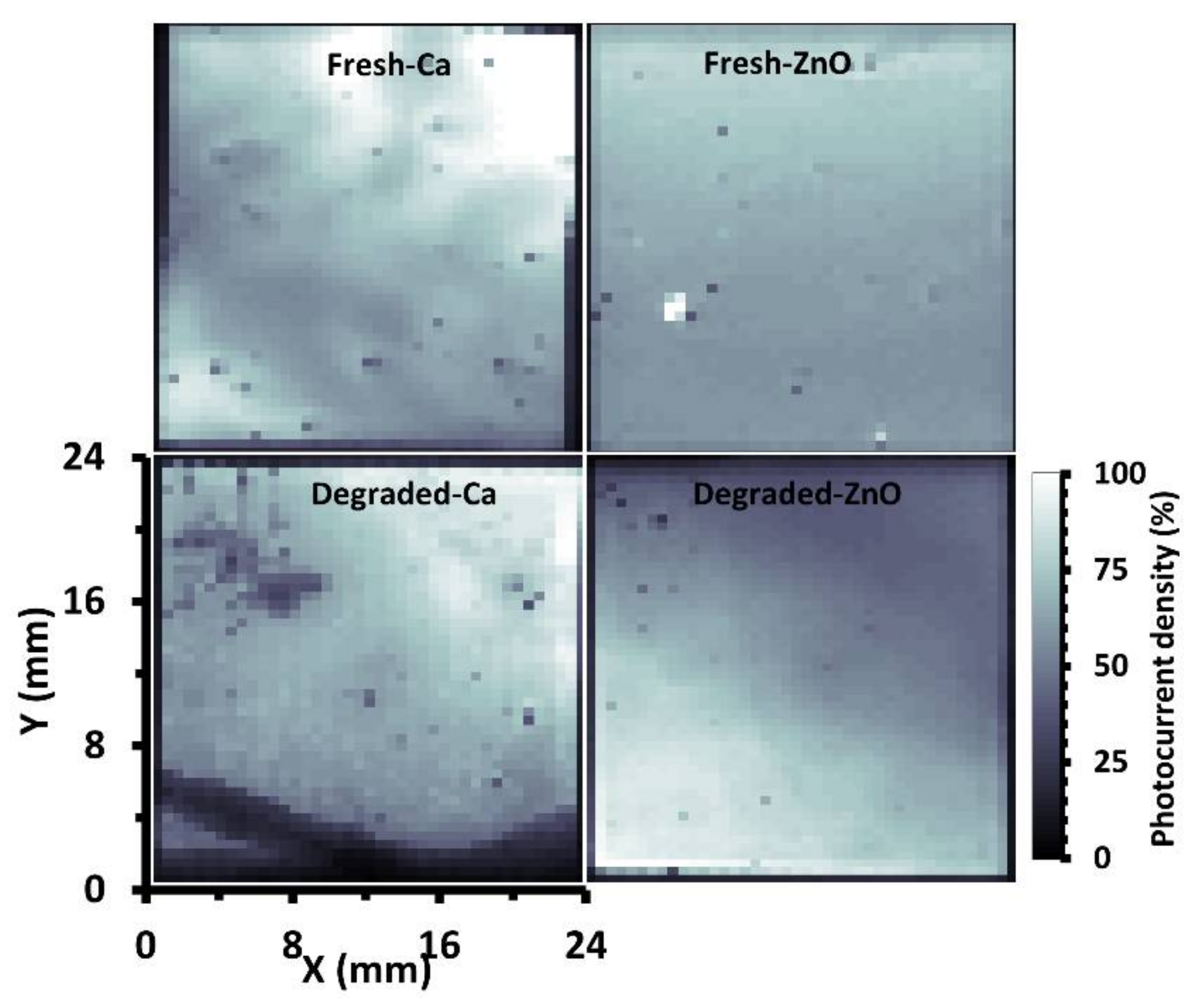 Coatings 12 01071 g004 550