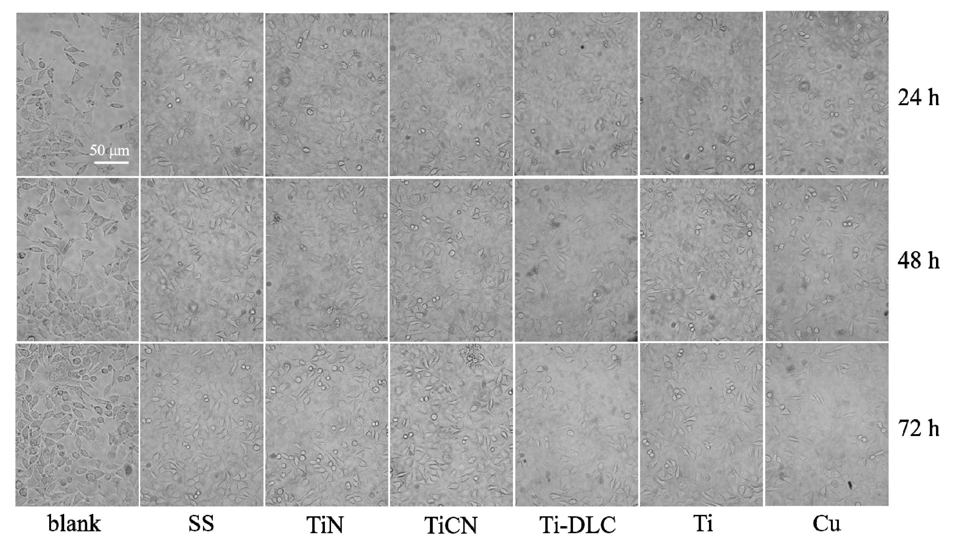 Coatings 12 01073 g004