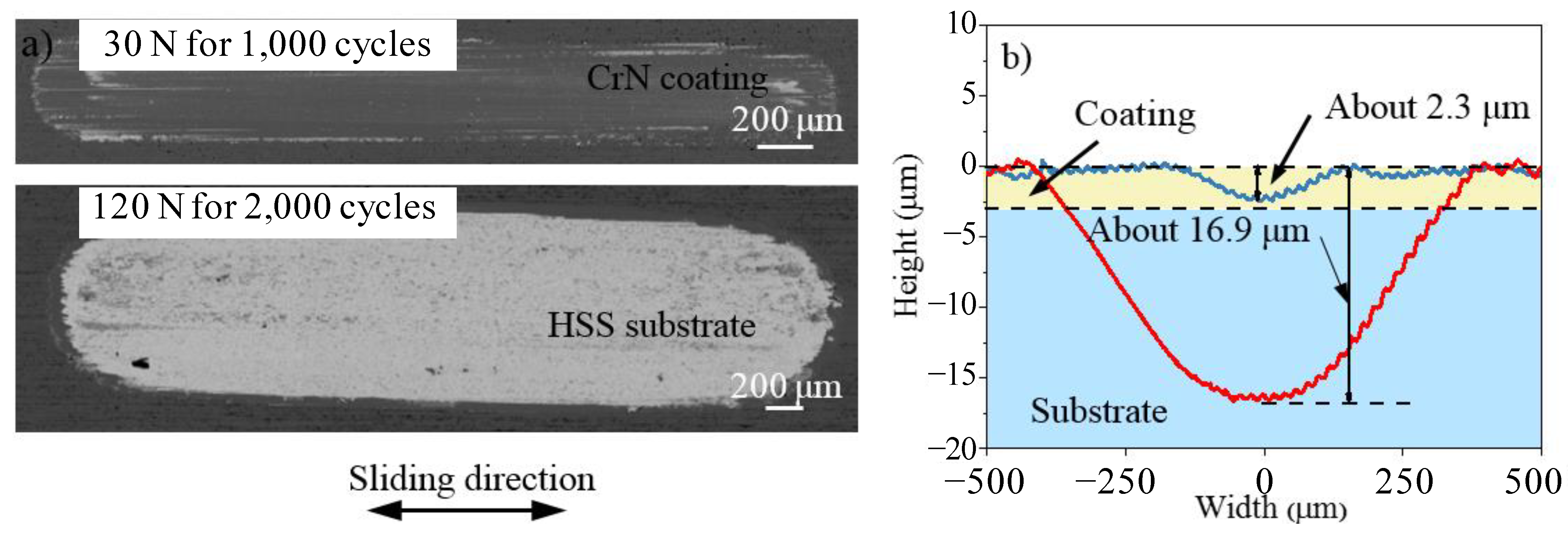 Coatings 12 01082 g006 550