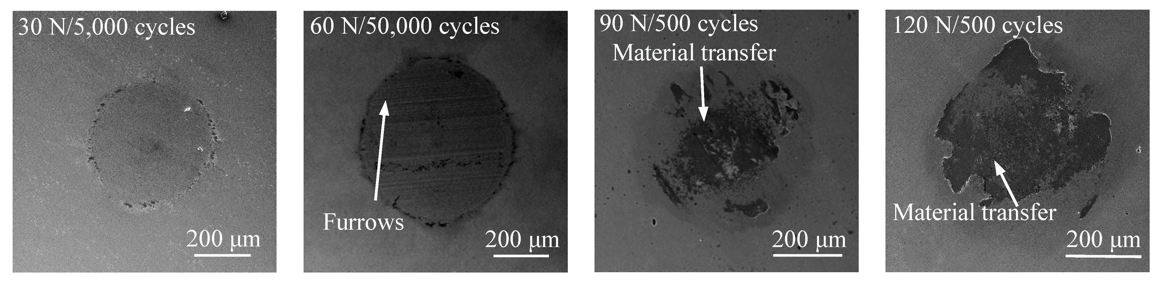 Coatings 12 01082 g010 550