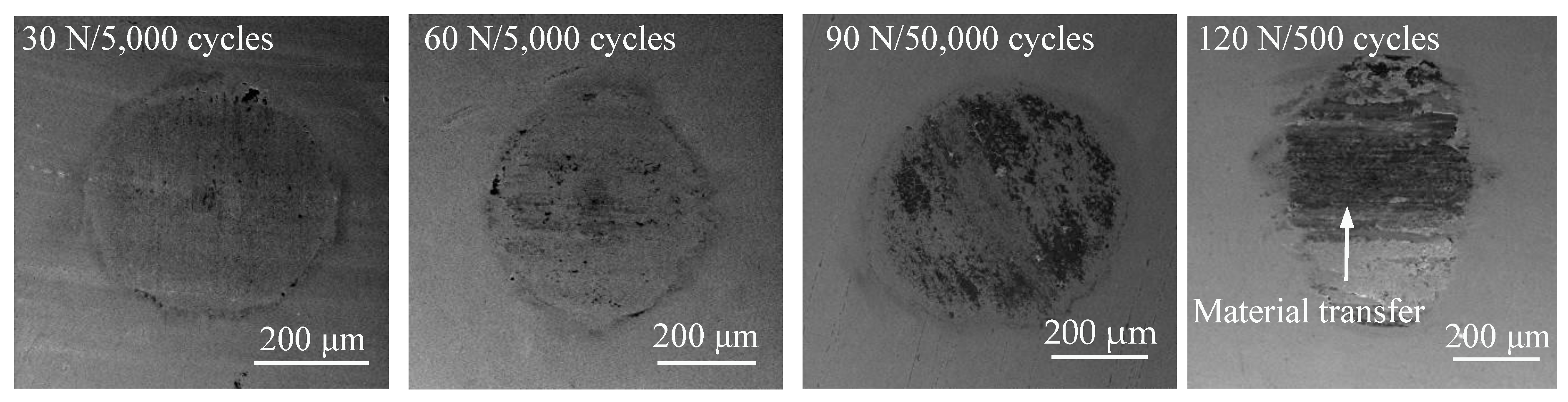 Coatings 12 01082 g012 550