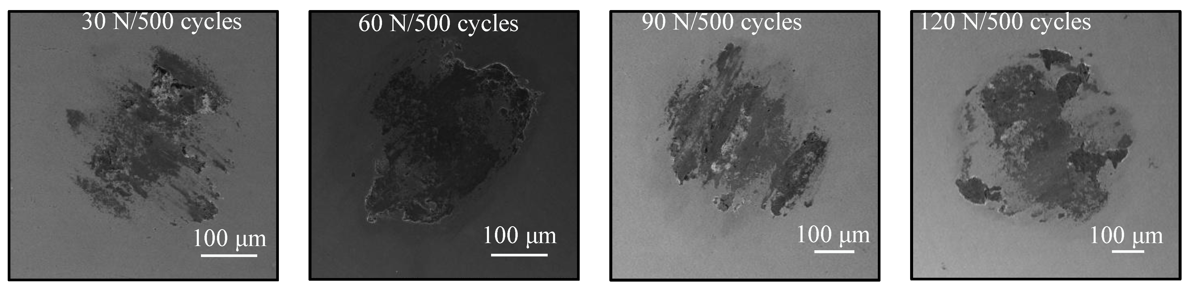 Coatings 12 01082 g014 550