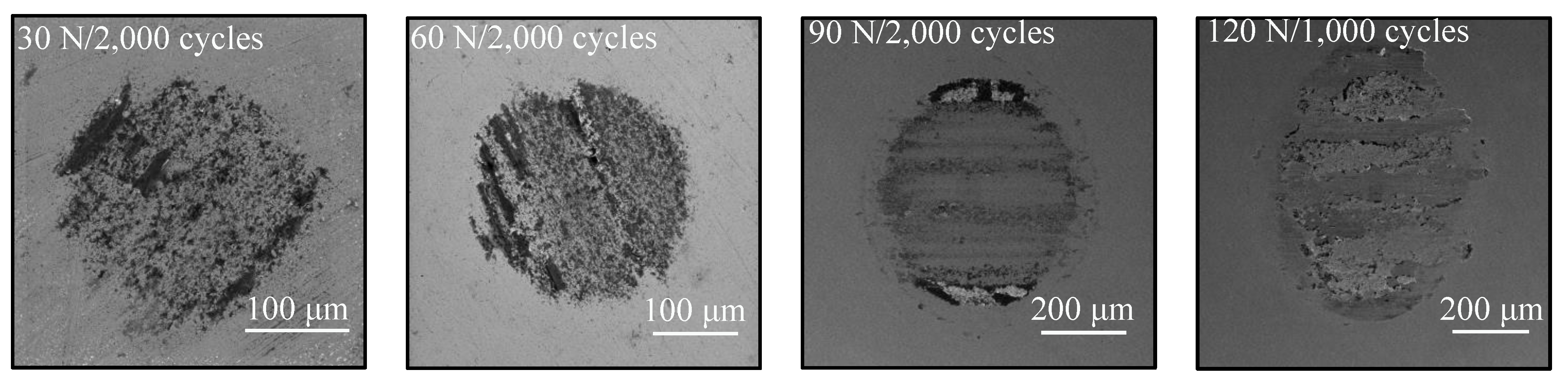 Coatings 12 01082 g016 550