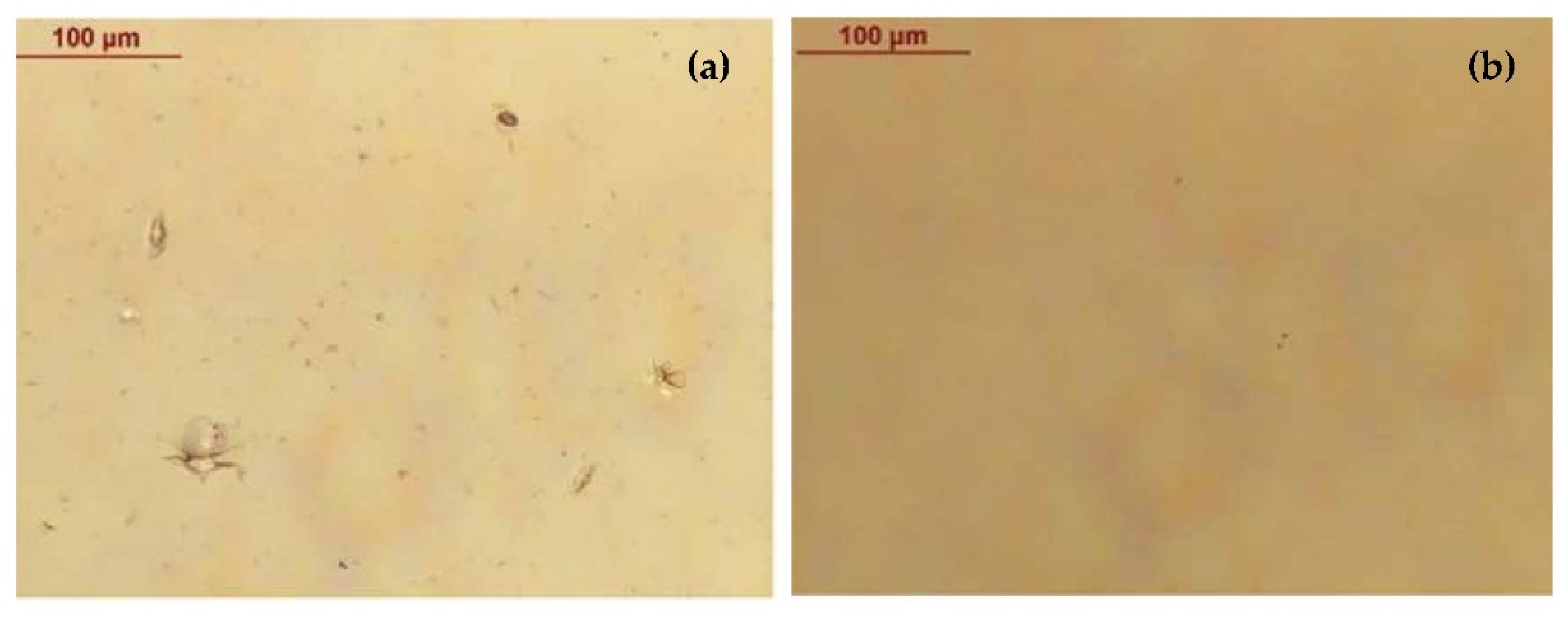 Coatings 12 01087 g002