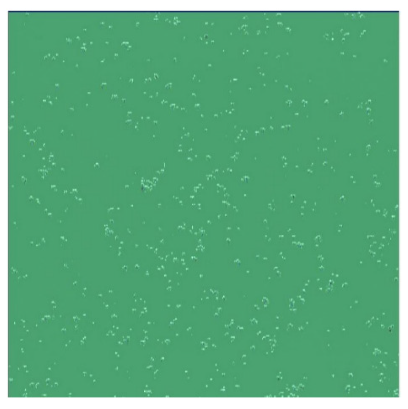 Coatings 12 01087 g008