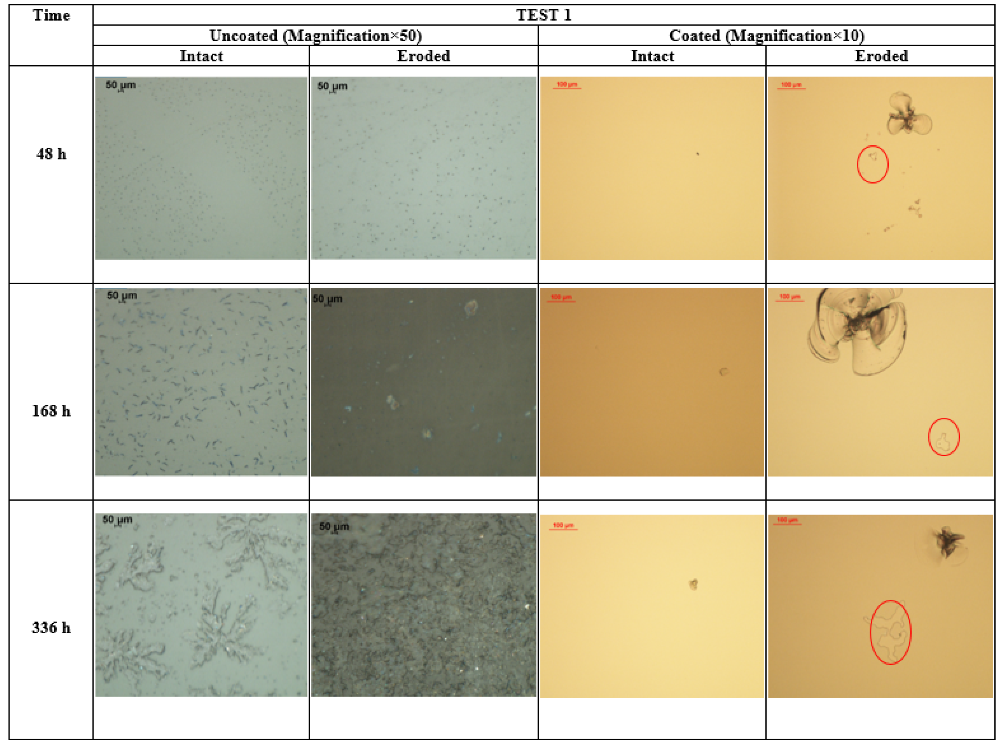Coatings 12 01087 g010