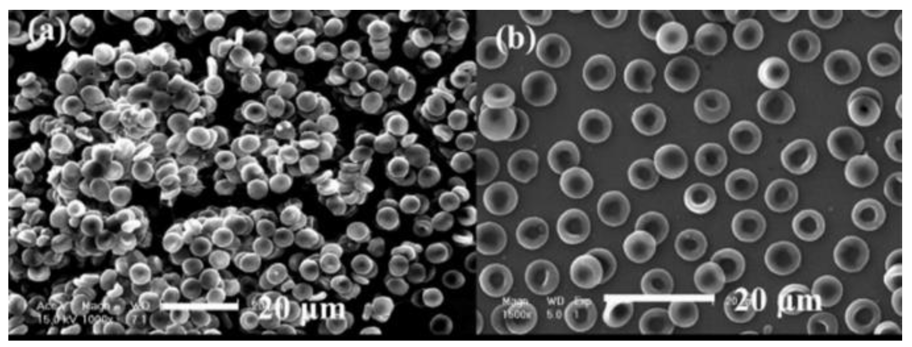 Coatings 12 01088 g004 Coatings 12 01088 g004