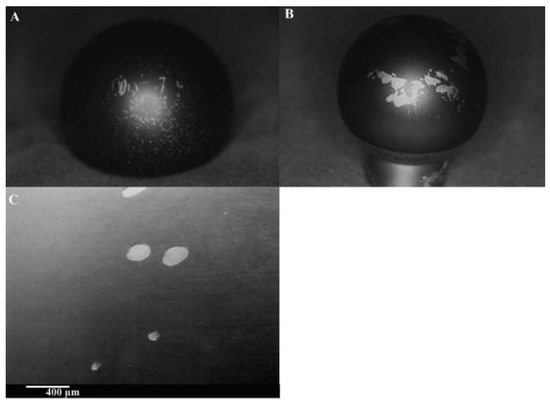 Diamond-like Carbon Coatings in the Biomedical Field Diamond-like Carbon Coatings in the Biomedical Field