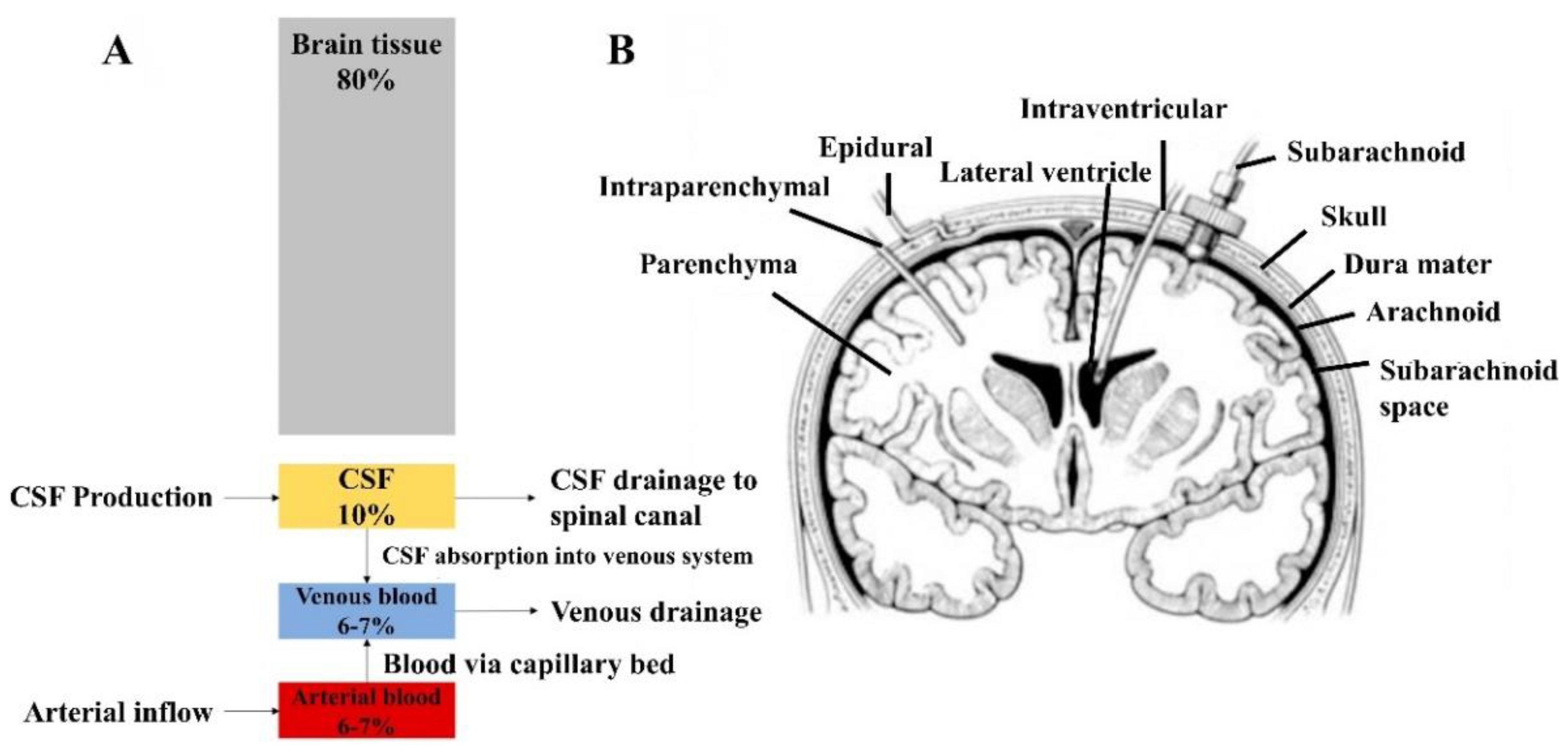 Coatings 12 01088 g007 Coatings 12 01088 g007
