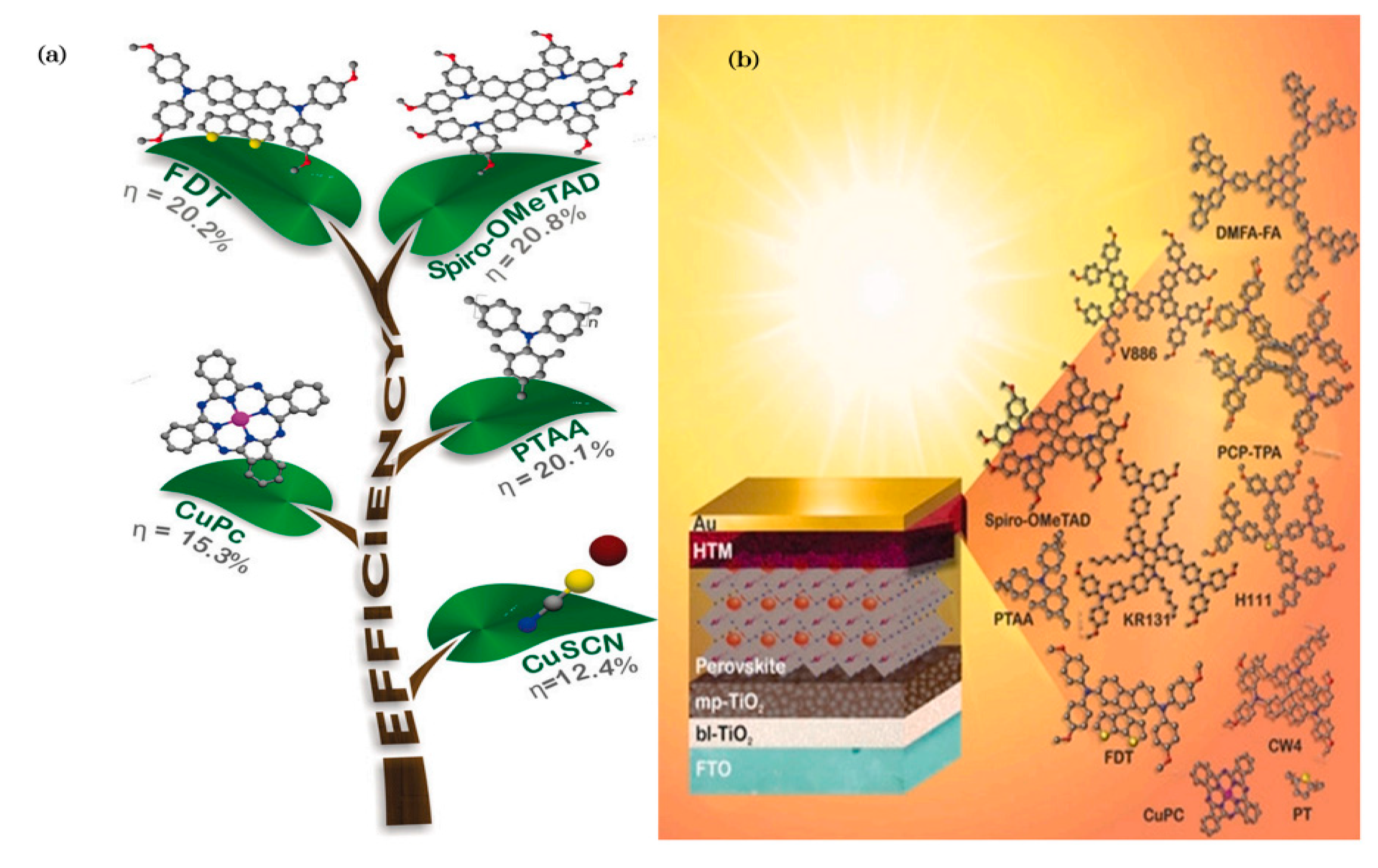 Coatings 12 01089 g004