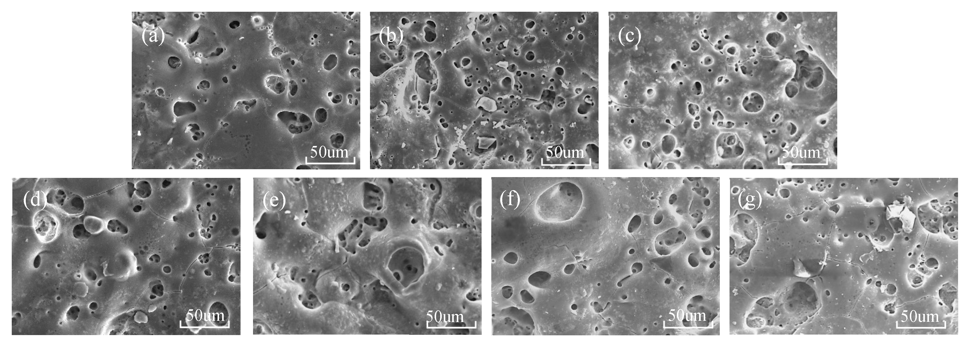 Coatings 12 01093 g003