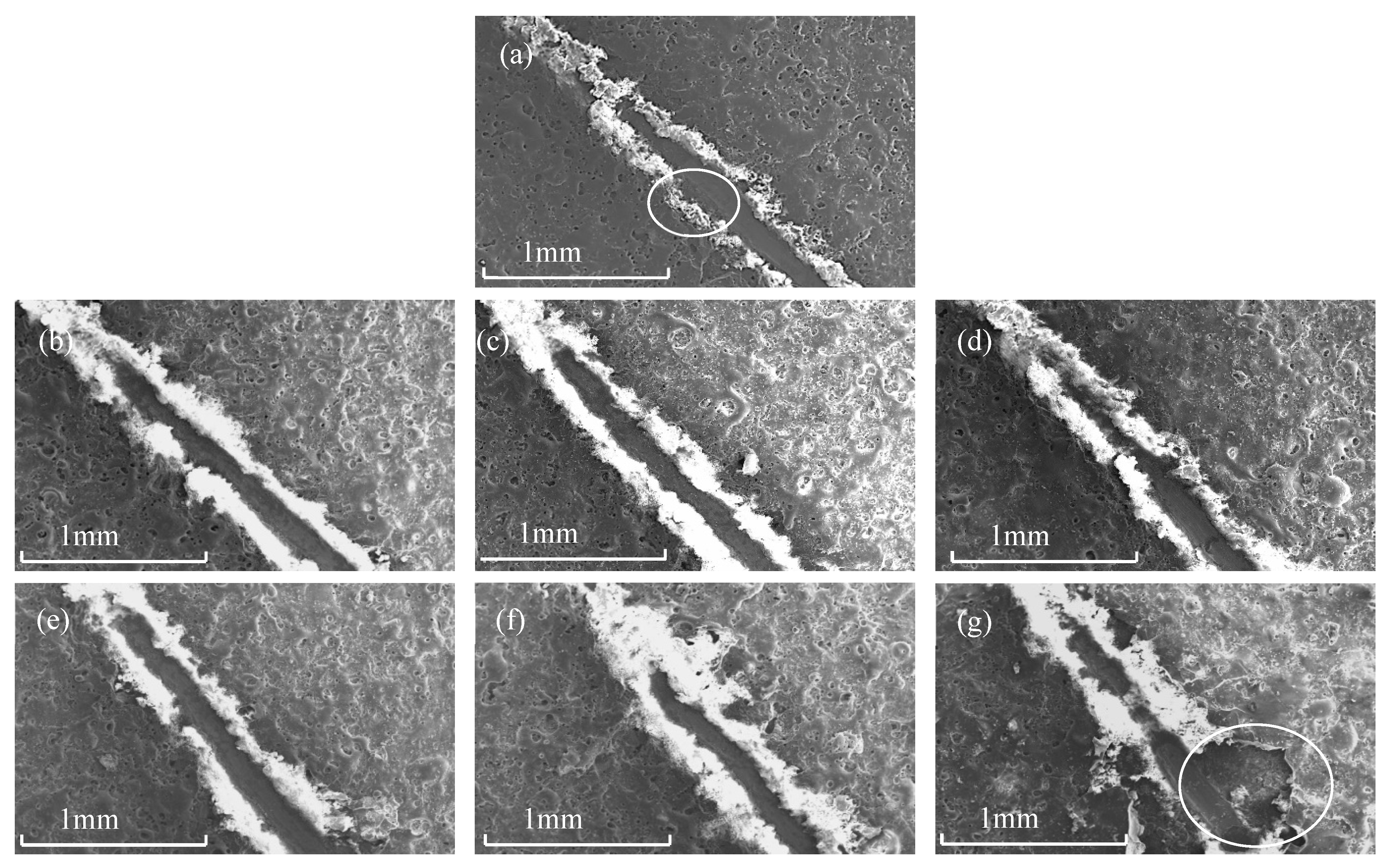 Coatings 12 01093 g007