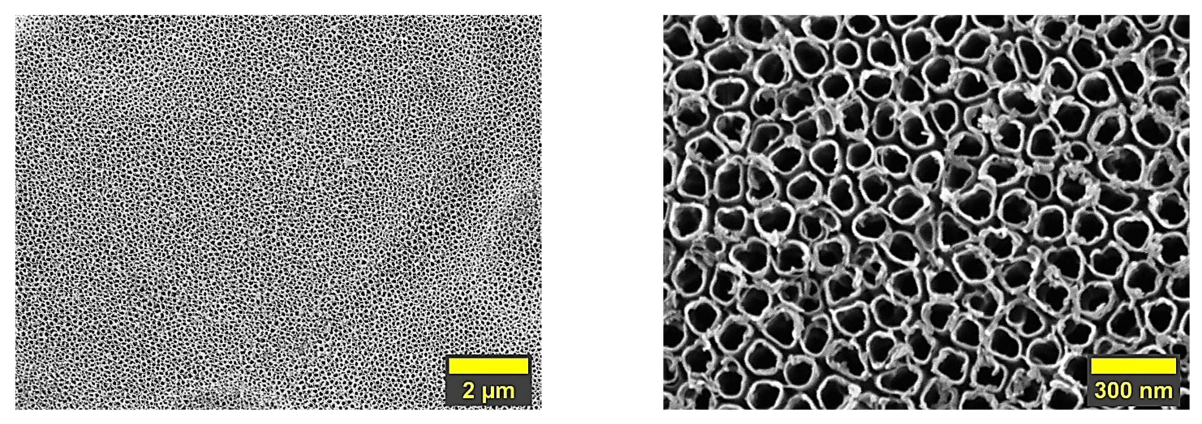 Coatings 12 01097 g001
