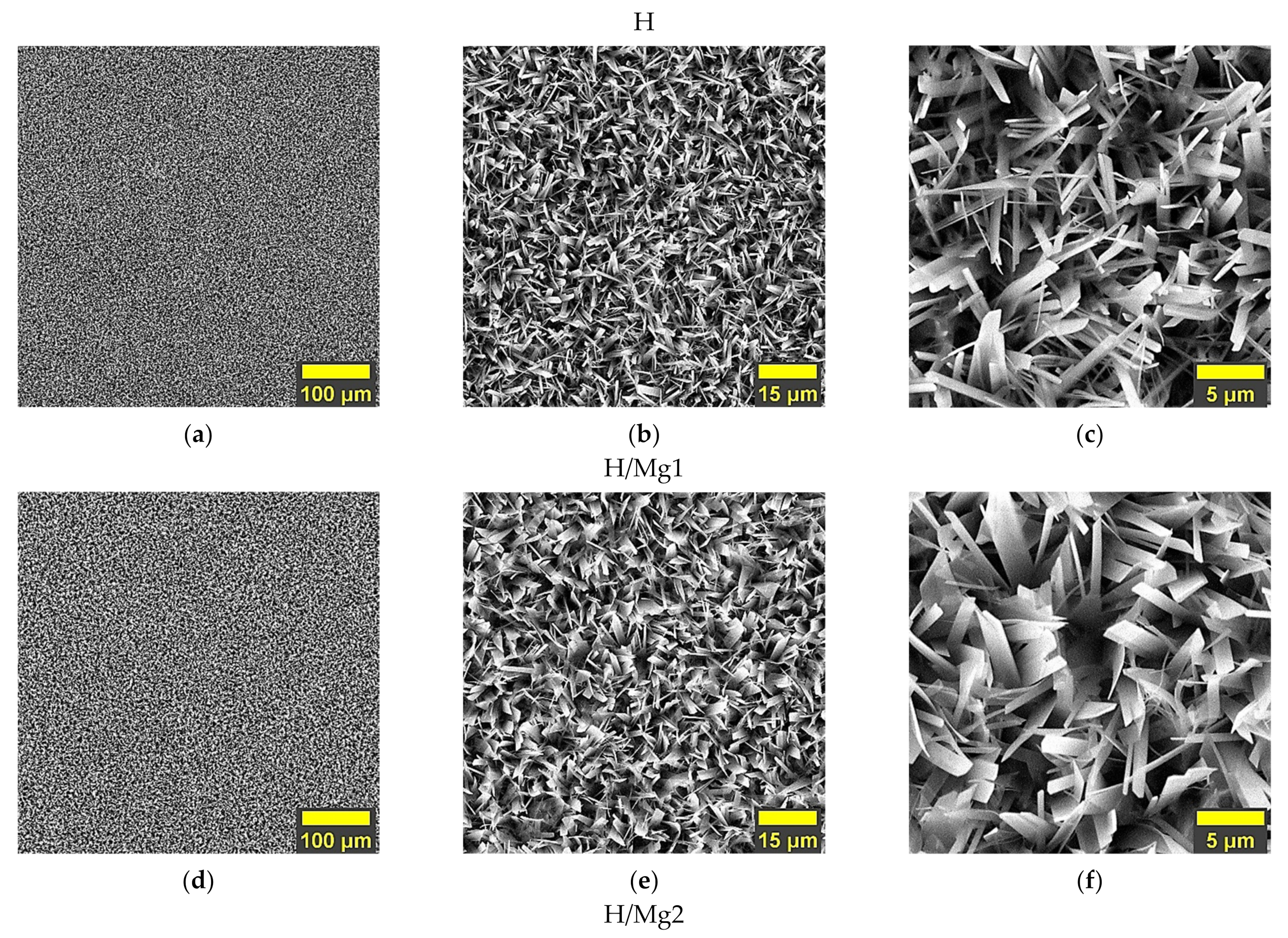 Coatings 12 01097 g002a