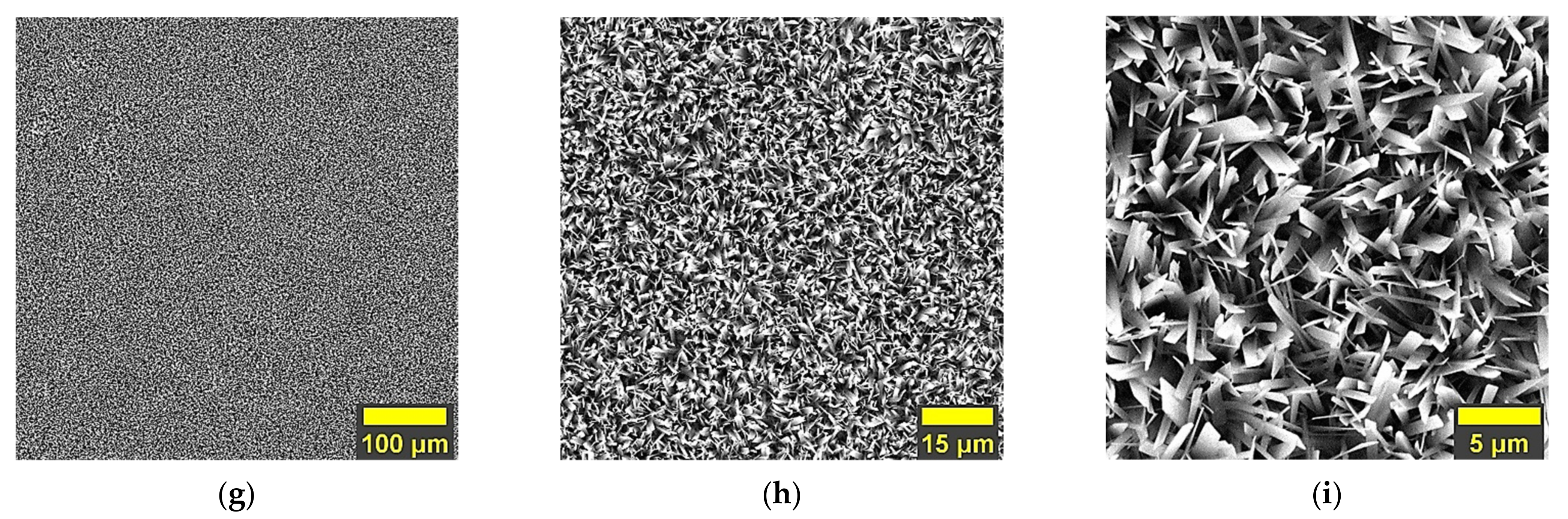 Coatings 12 01097 g002b