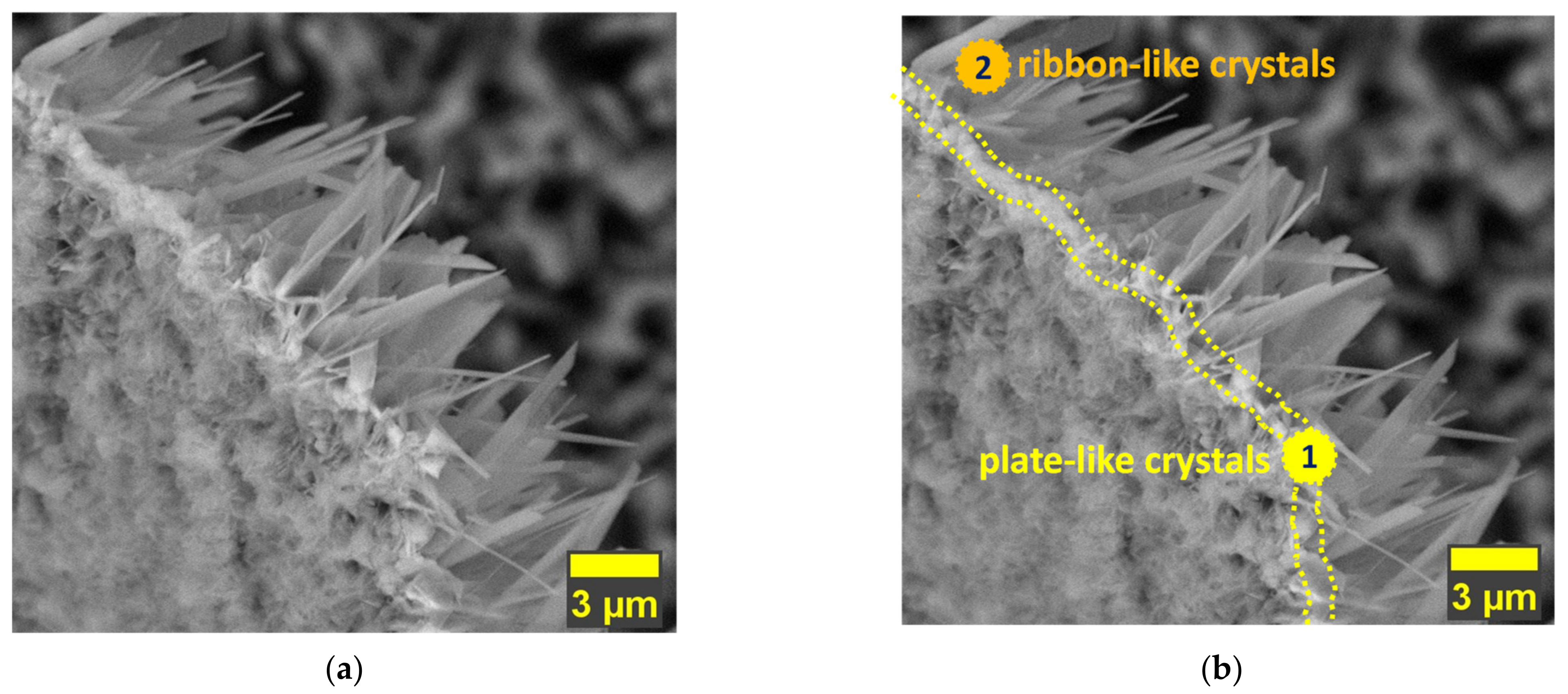 Coatings 12 01097 g003