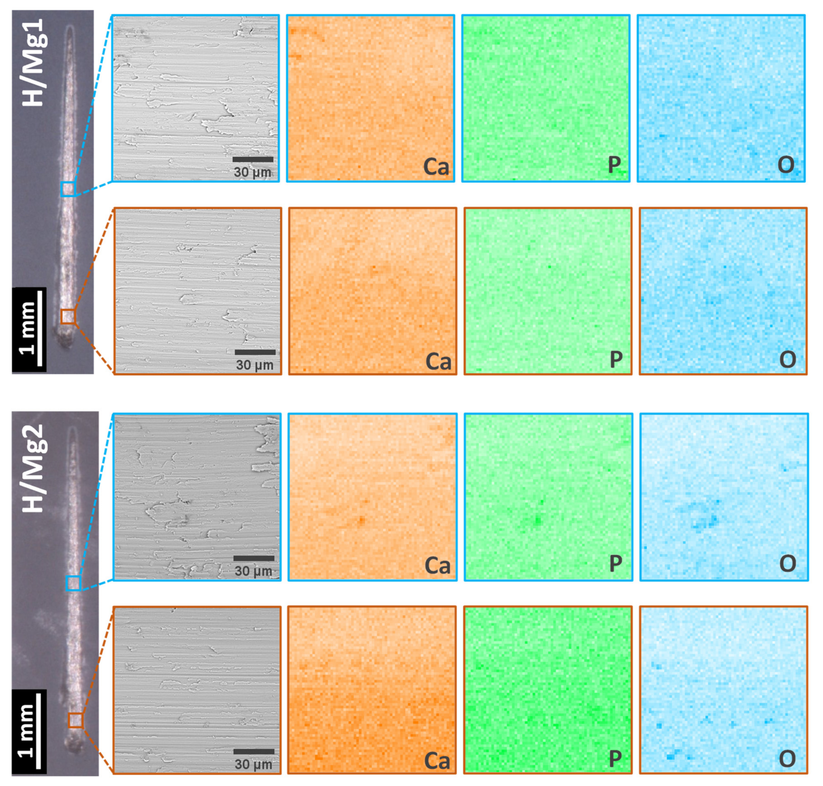 Coatings 12 01097 g010b