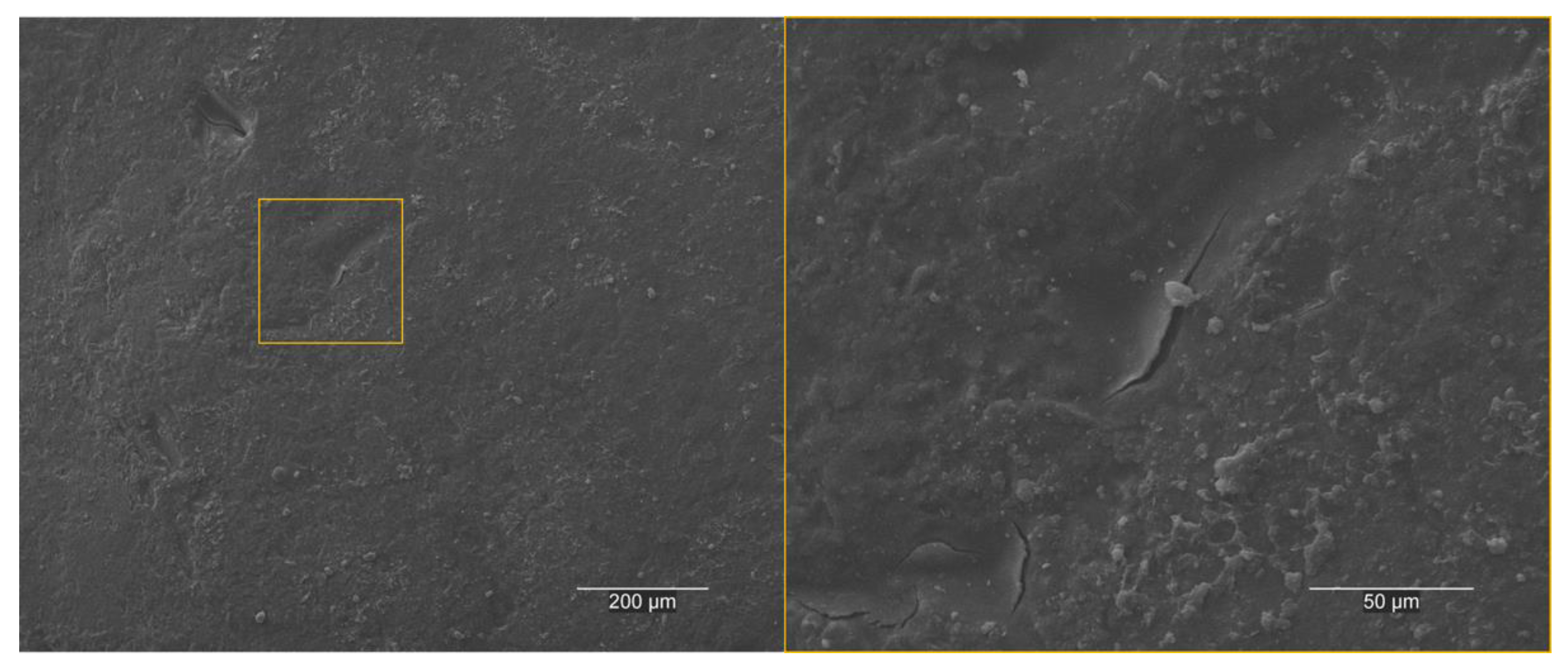 Coatings 12 01098 g003