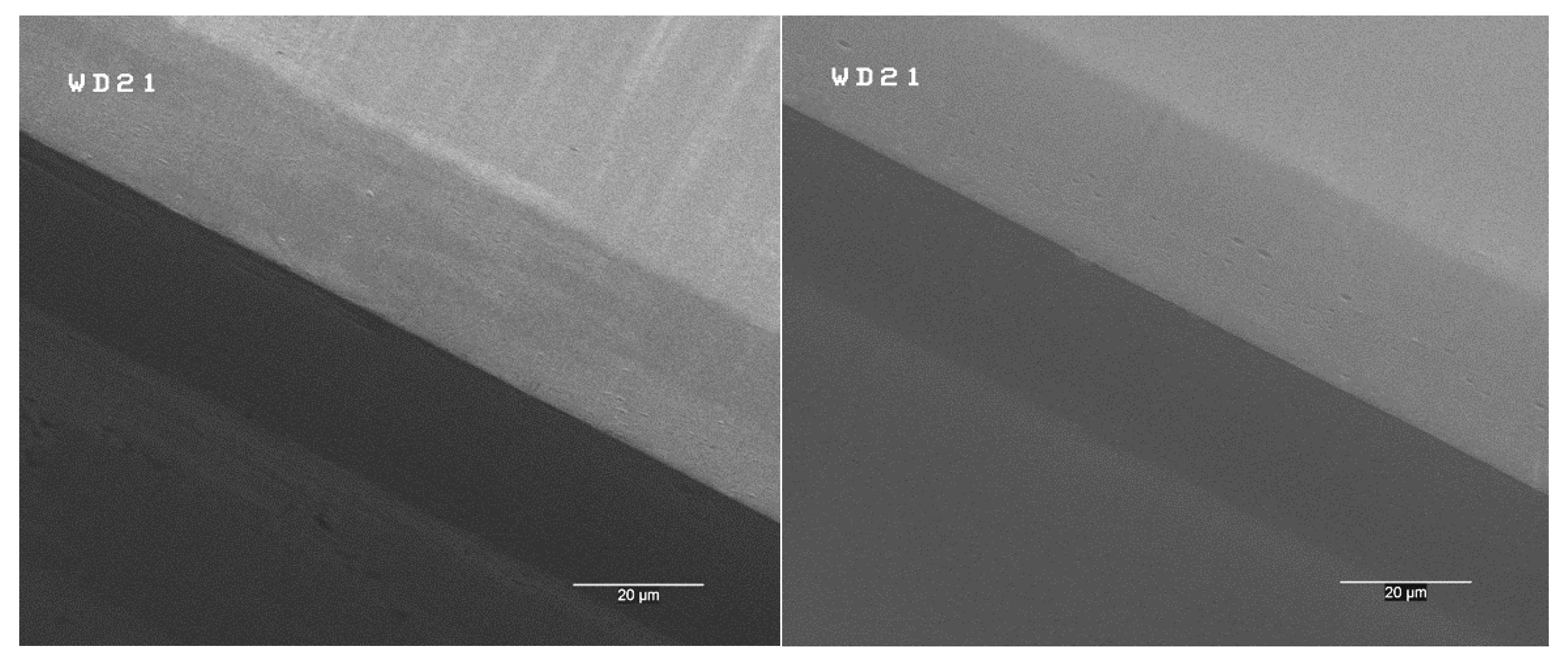 Coatings 12 01098 g004