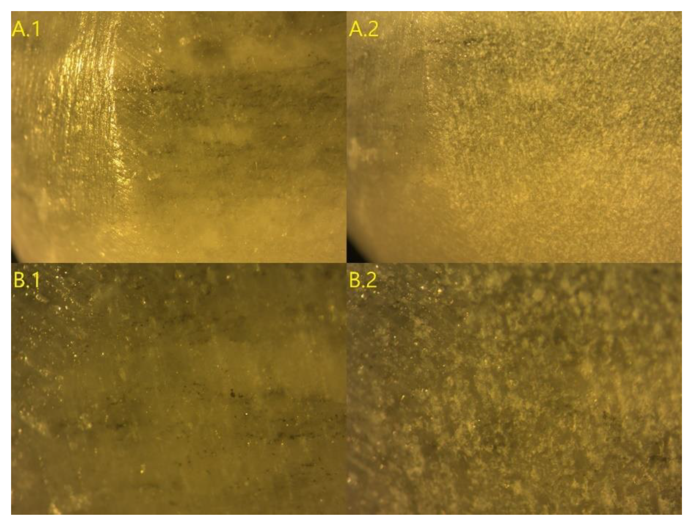 Coatings 12 01098 g007