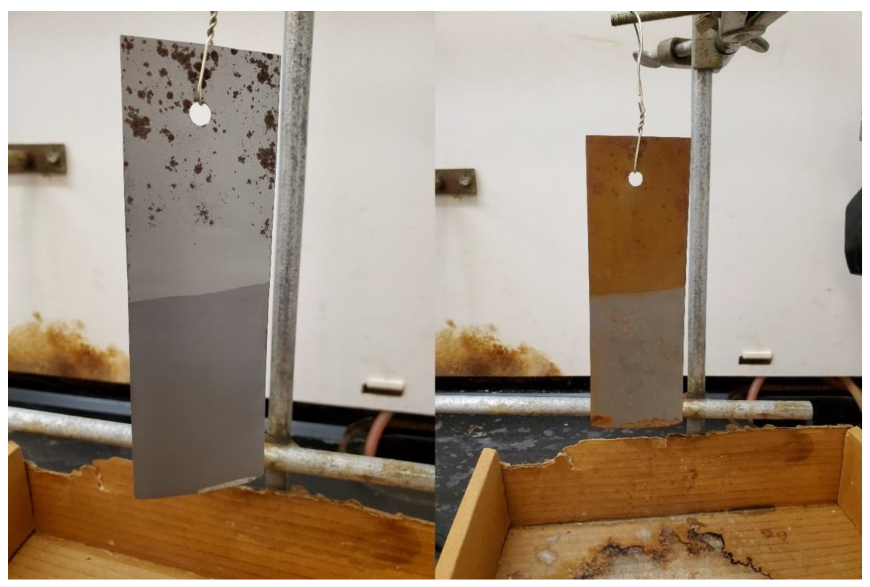 Coatings 12 01098 g008