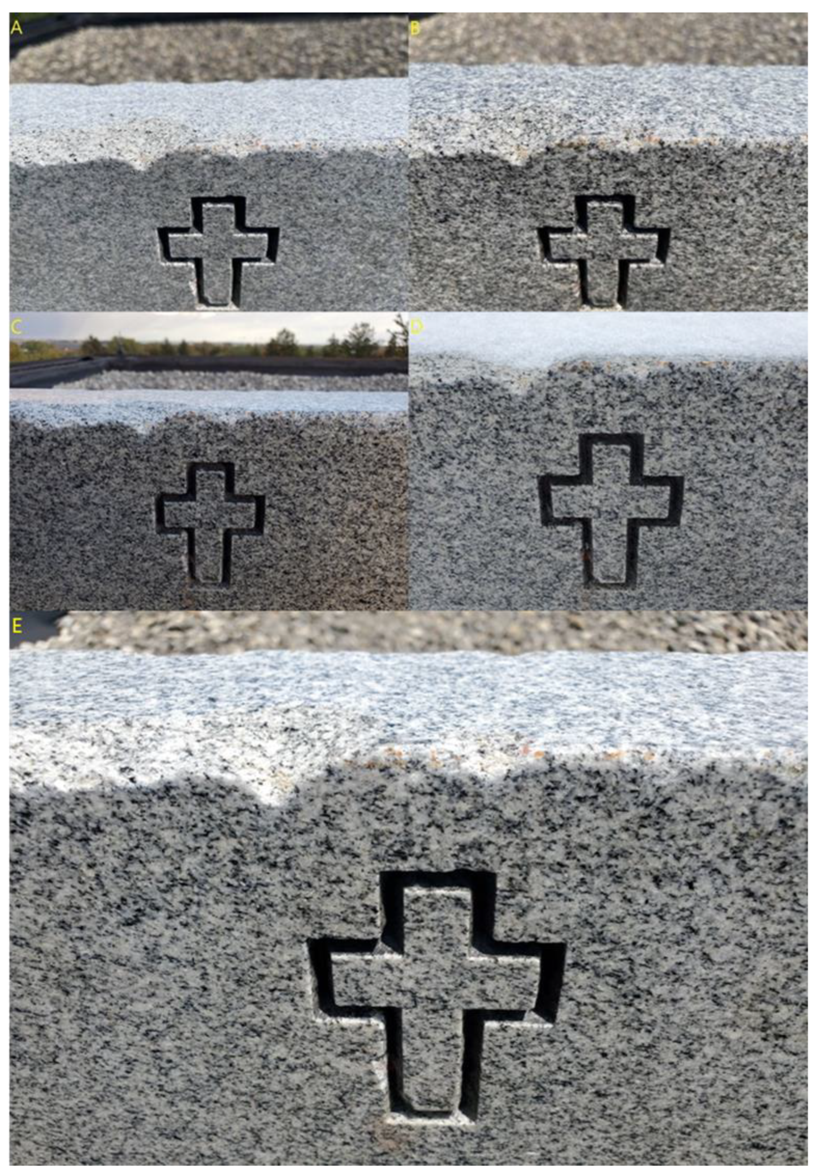 Coatings 12 01098 g010