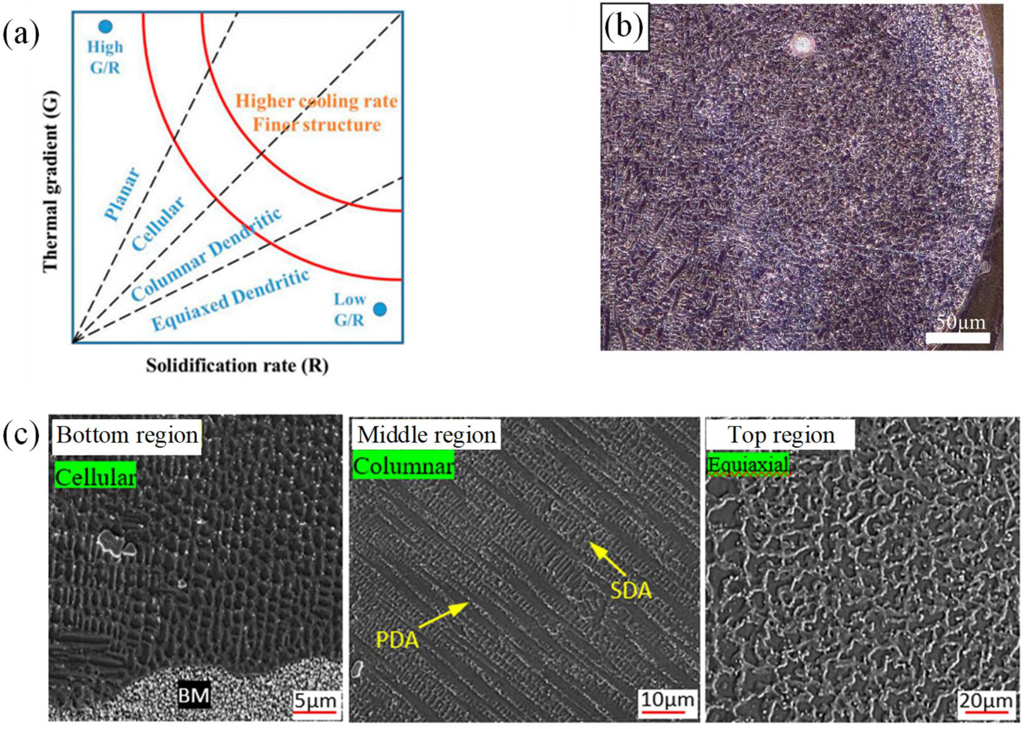 Coatings 12 01104 g004 Coatings 12 01104 g004