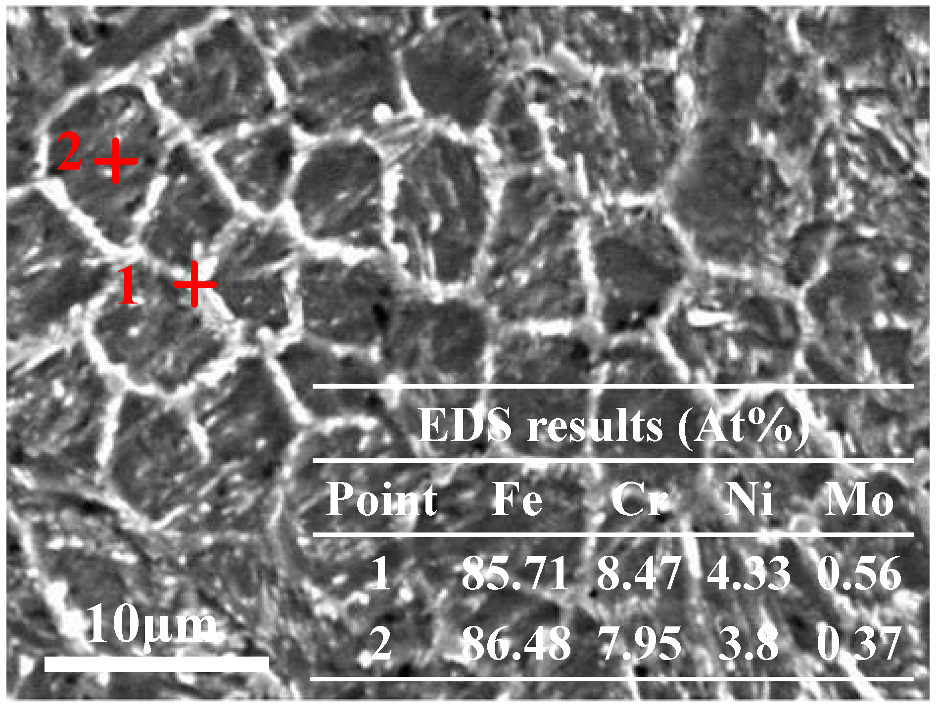 Coatings 12 01106 g005 550