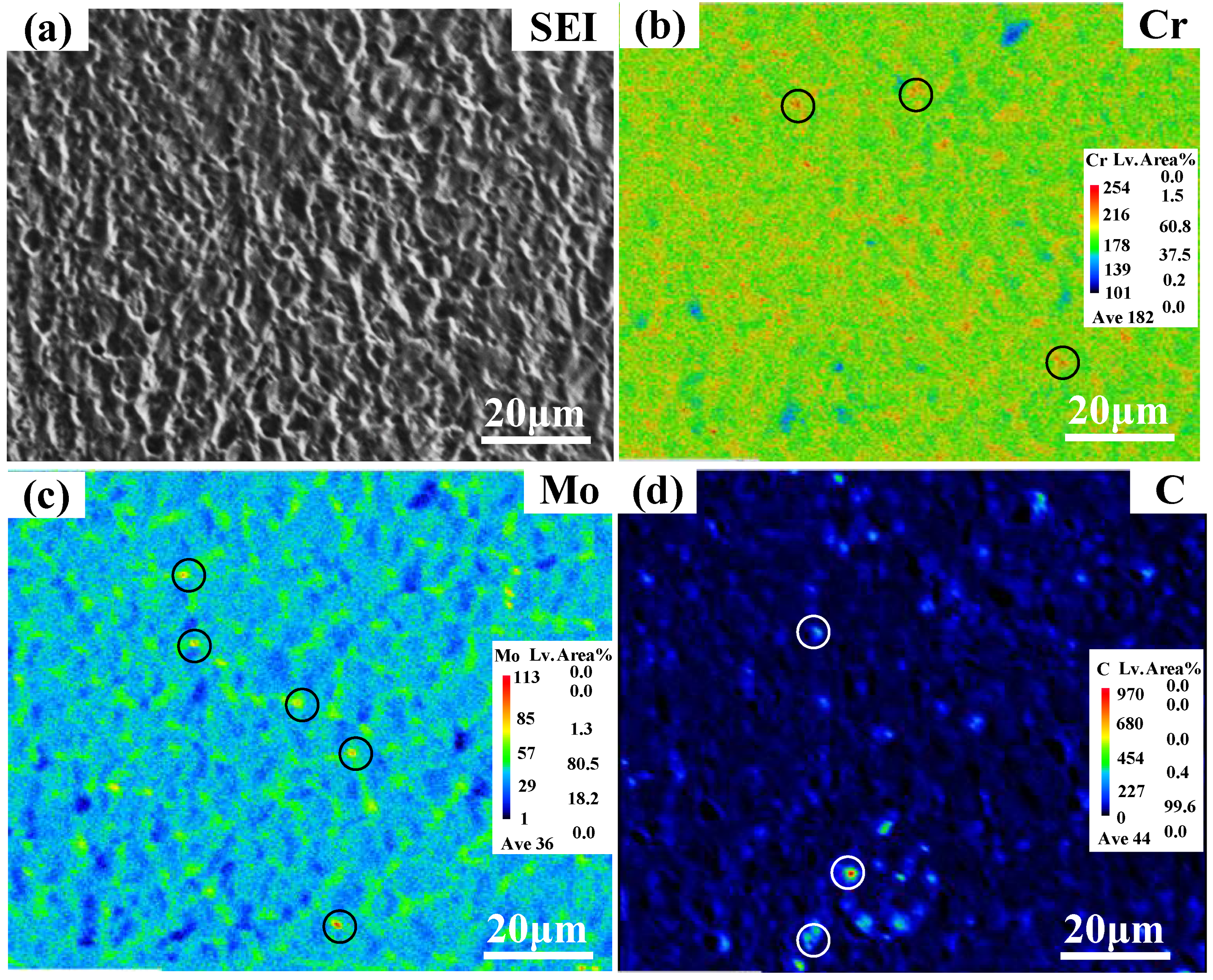 Coatings 12 01106 g007 550