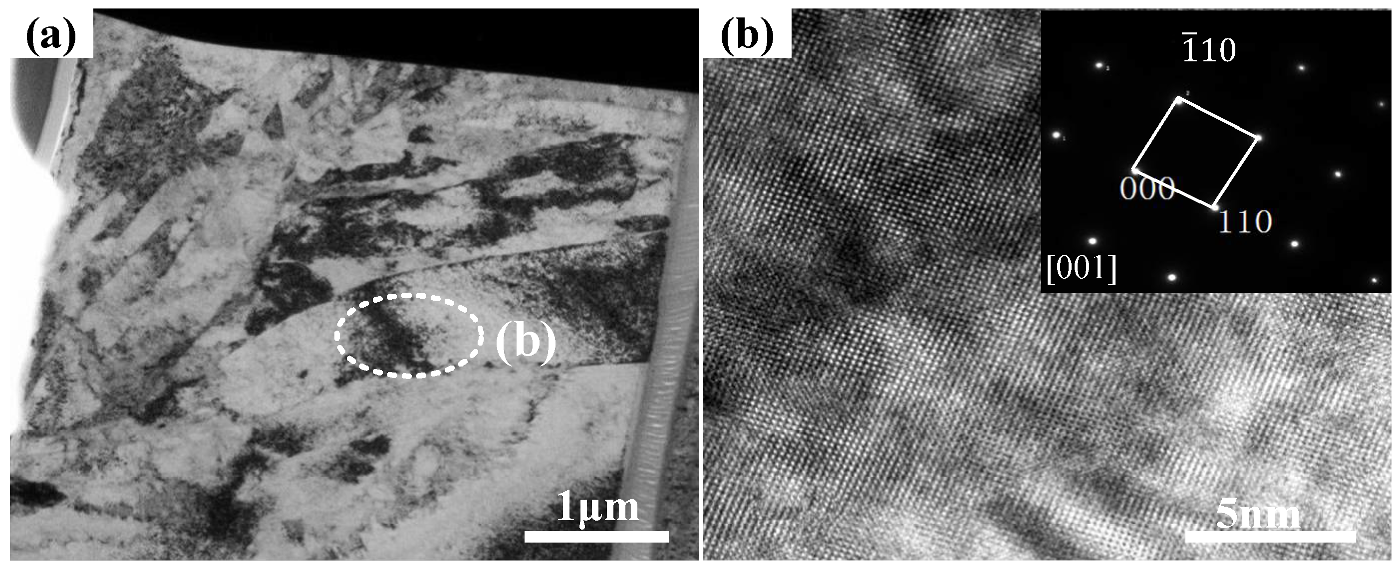 Coatings 12 01106 g008 550