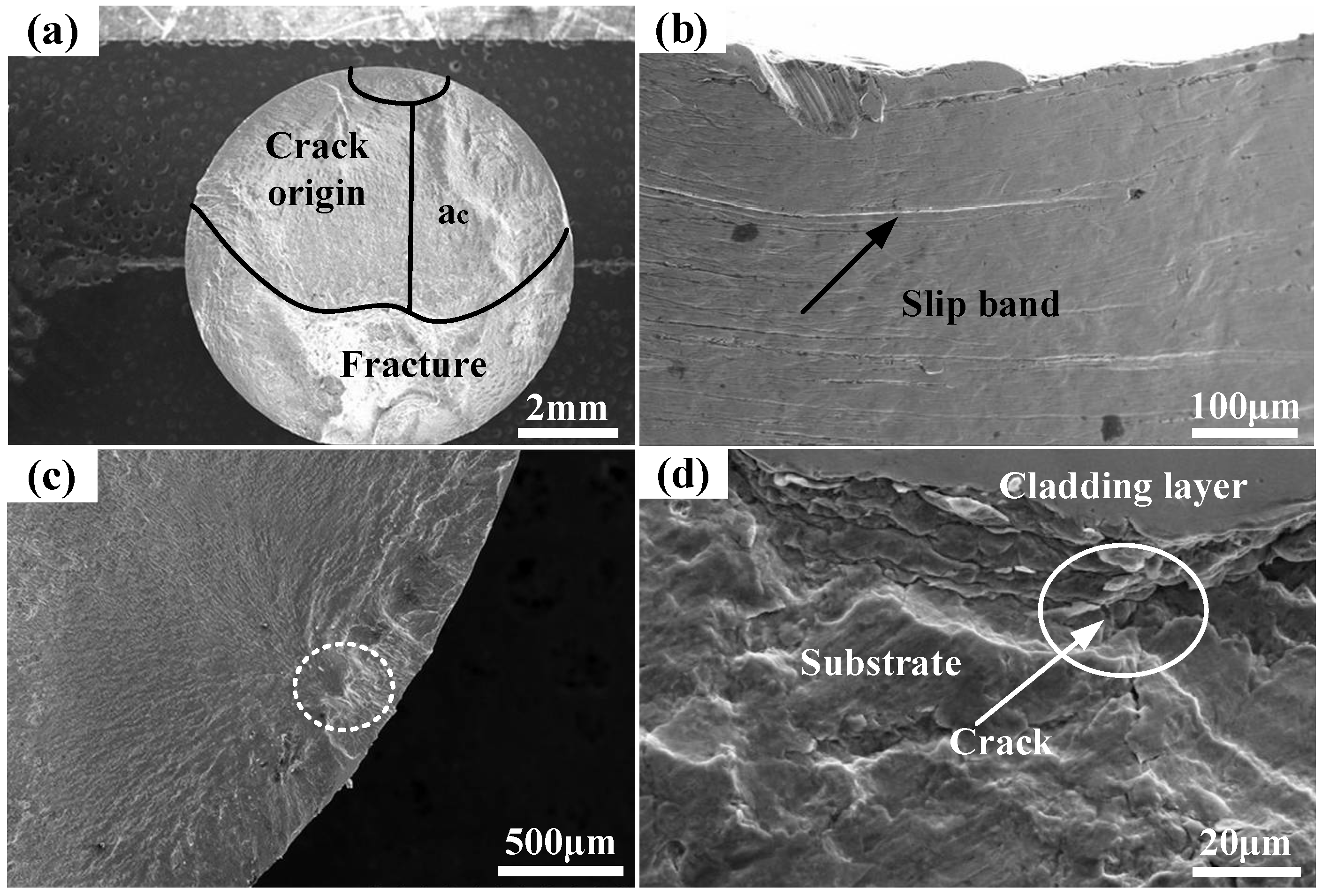 Coatings 12 01106 g016 550