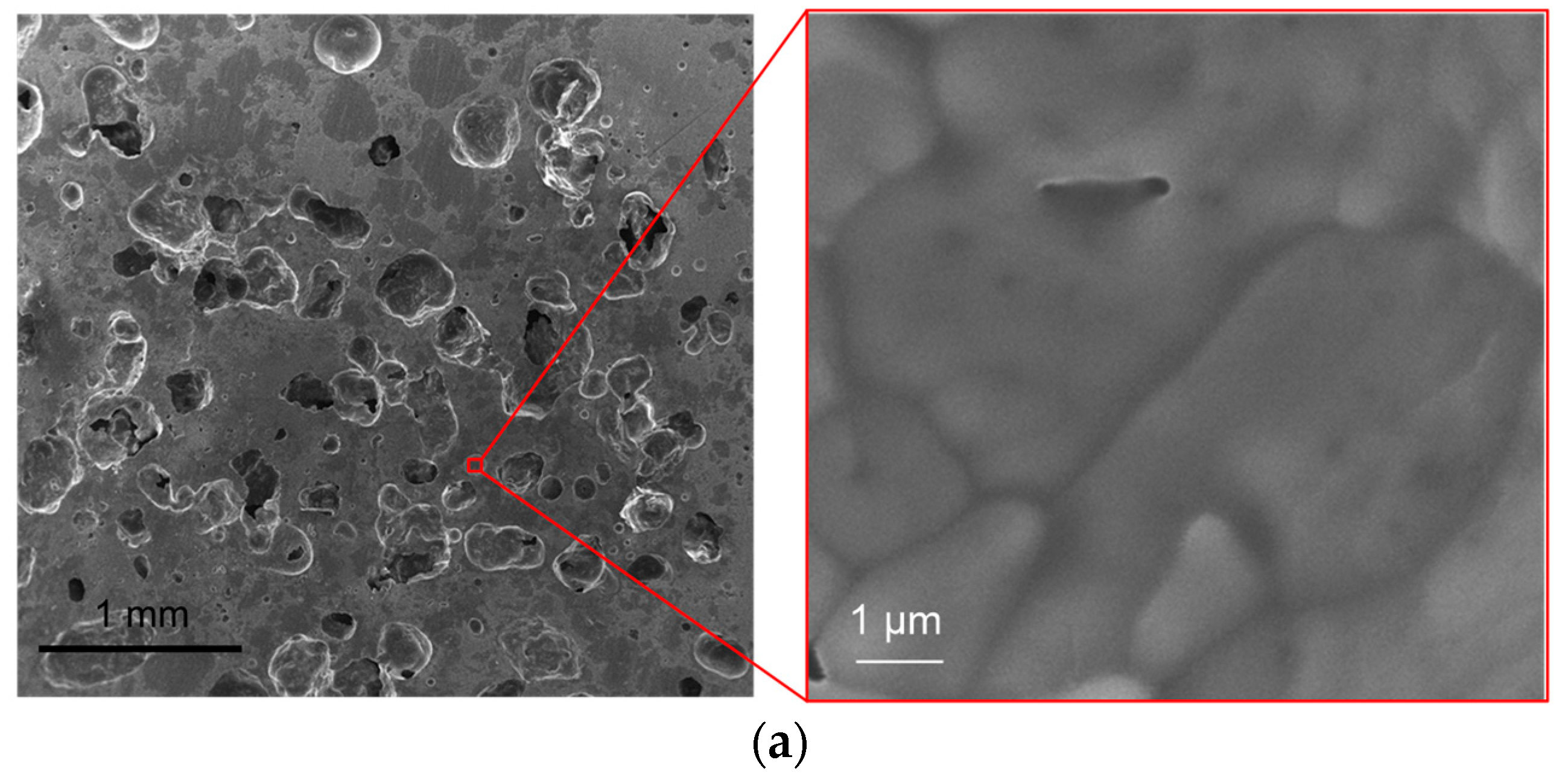 Coatings 12 01107 g005a