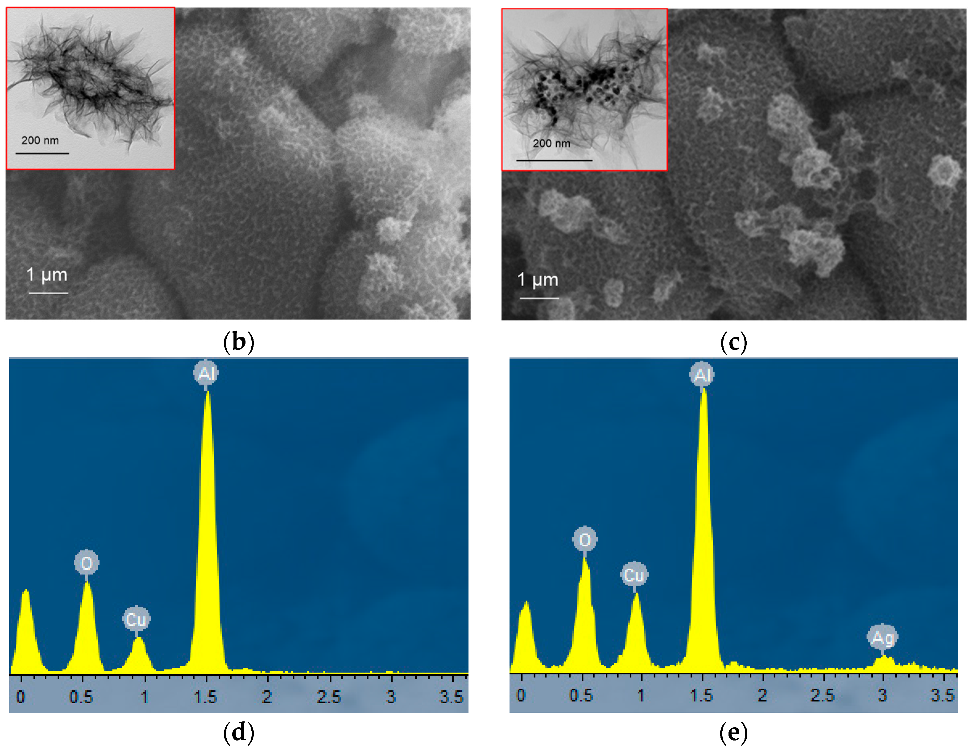 Coatings 12 01107 g005b