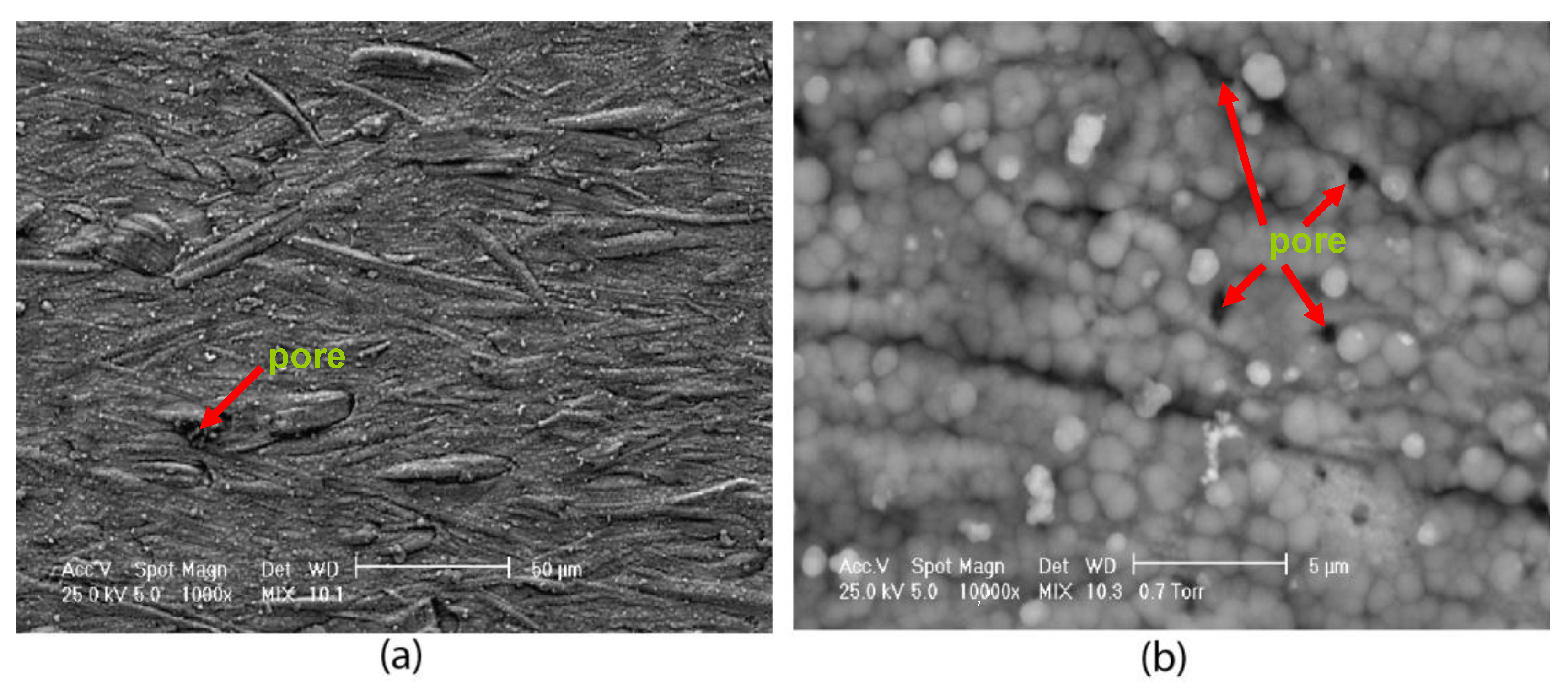 Coatings 12 01108 g009