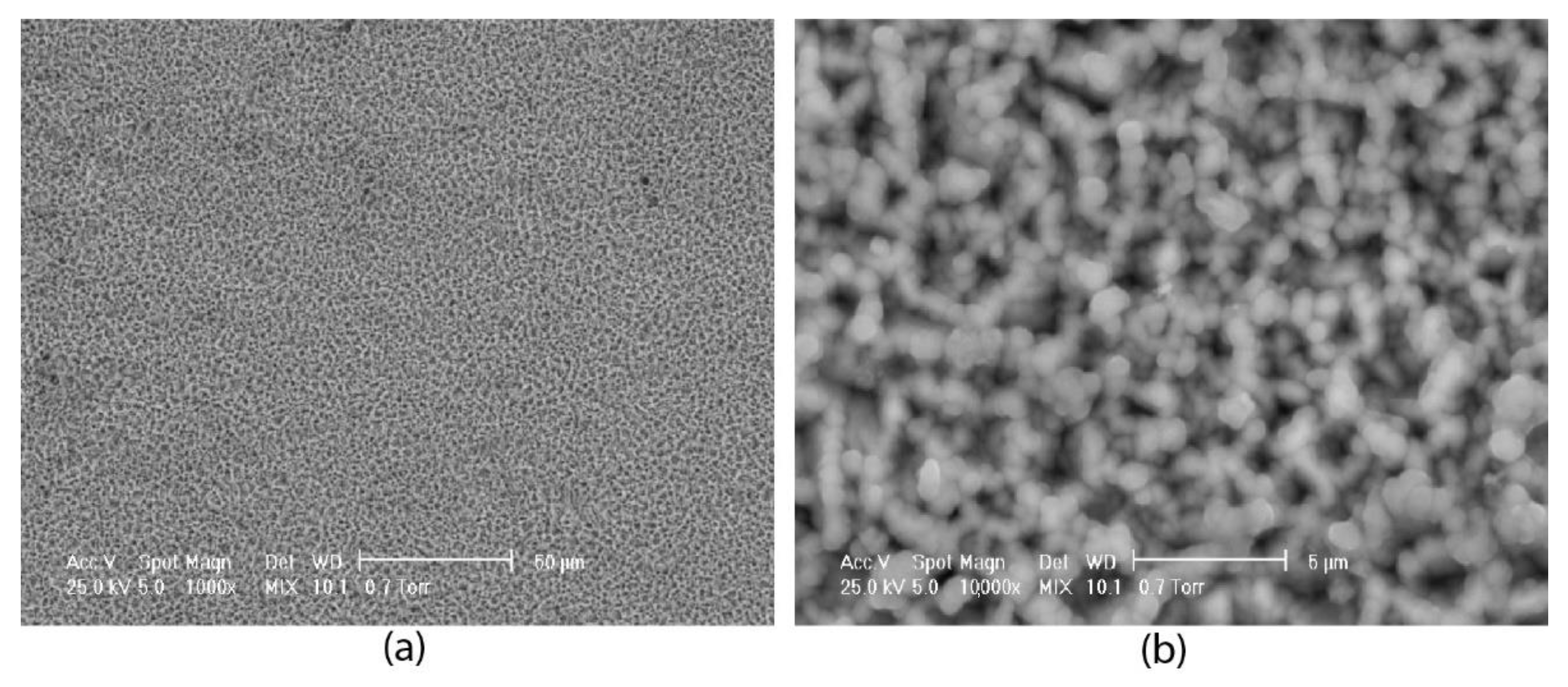 Coatings 12 01108 g012