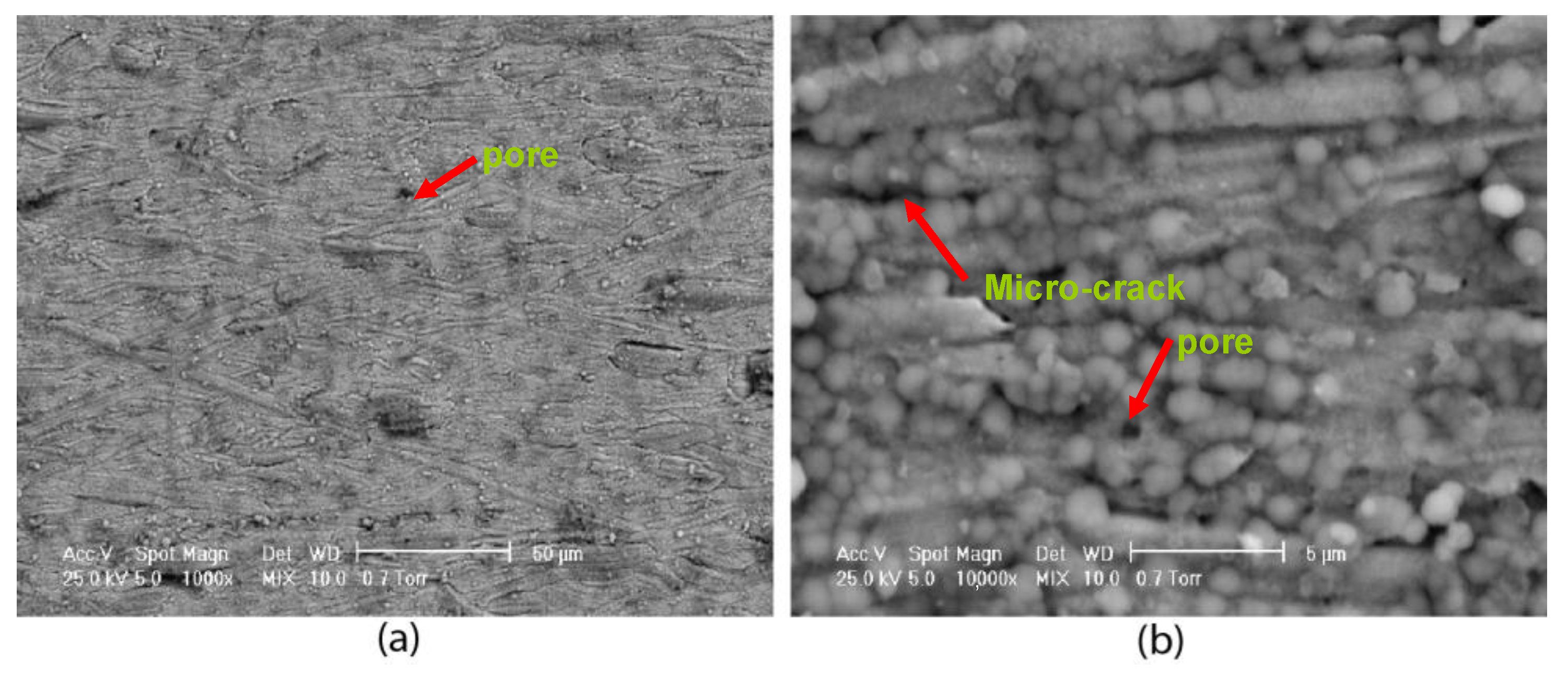 Coatings 12 01108 g015
