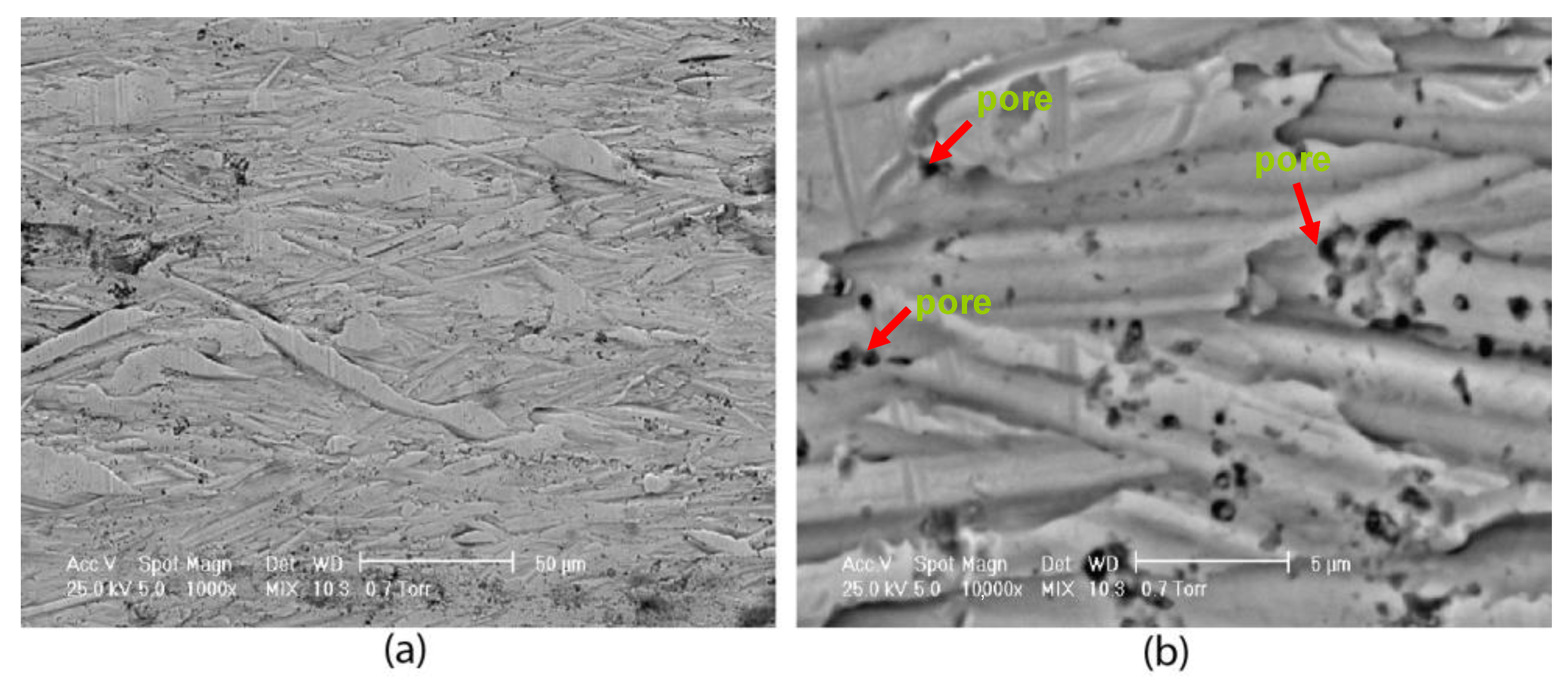 Coatings 12 01108 g016