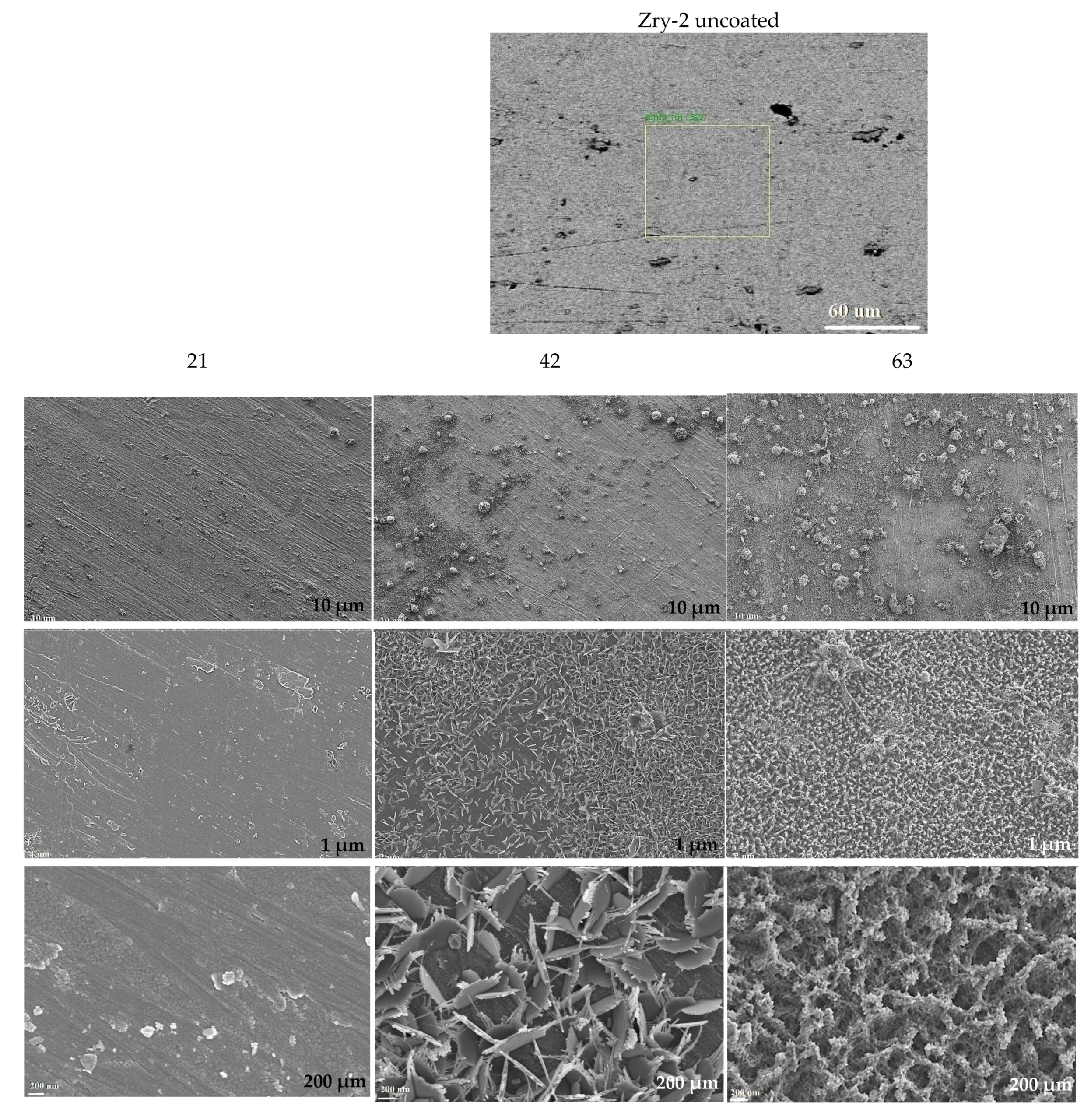Coatings 12 01112 g009