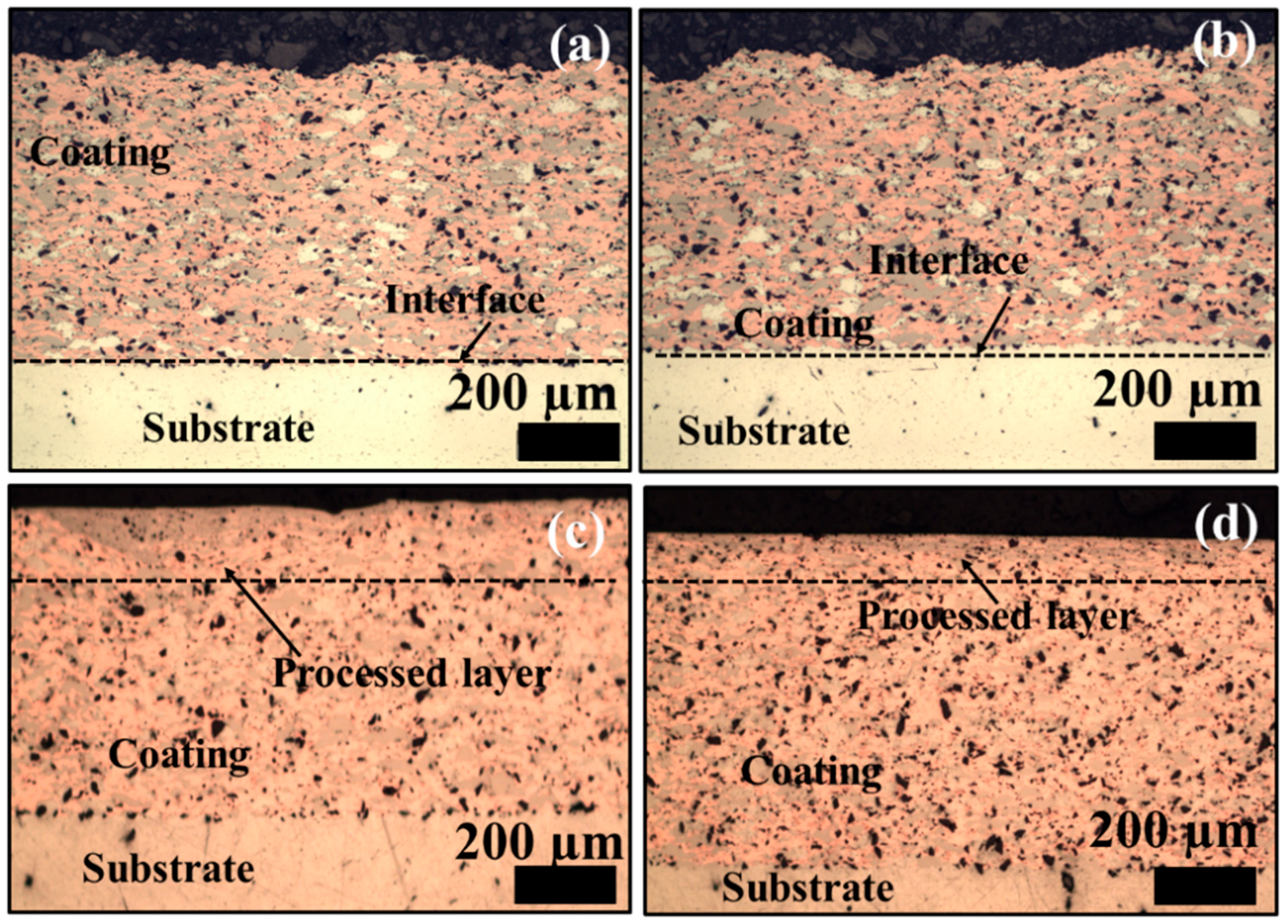 Coatings 12 01113 g003