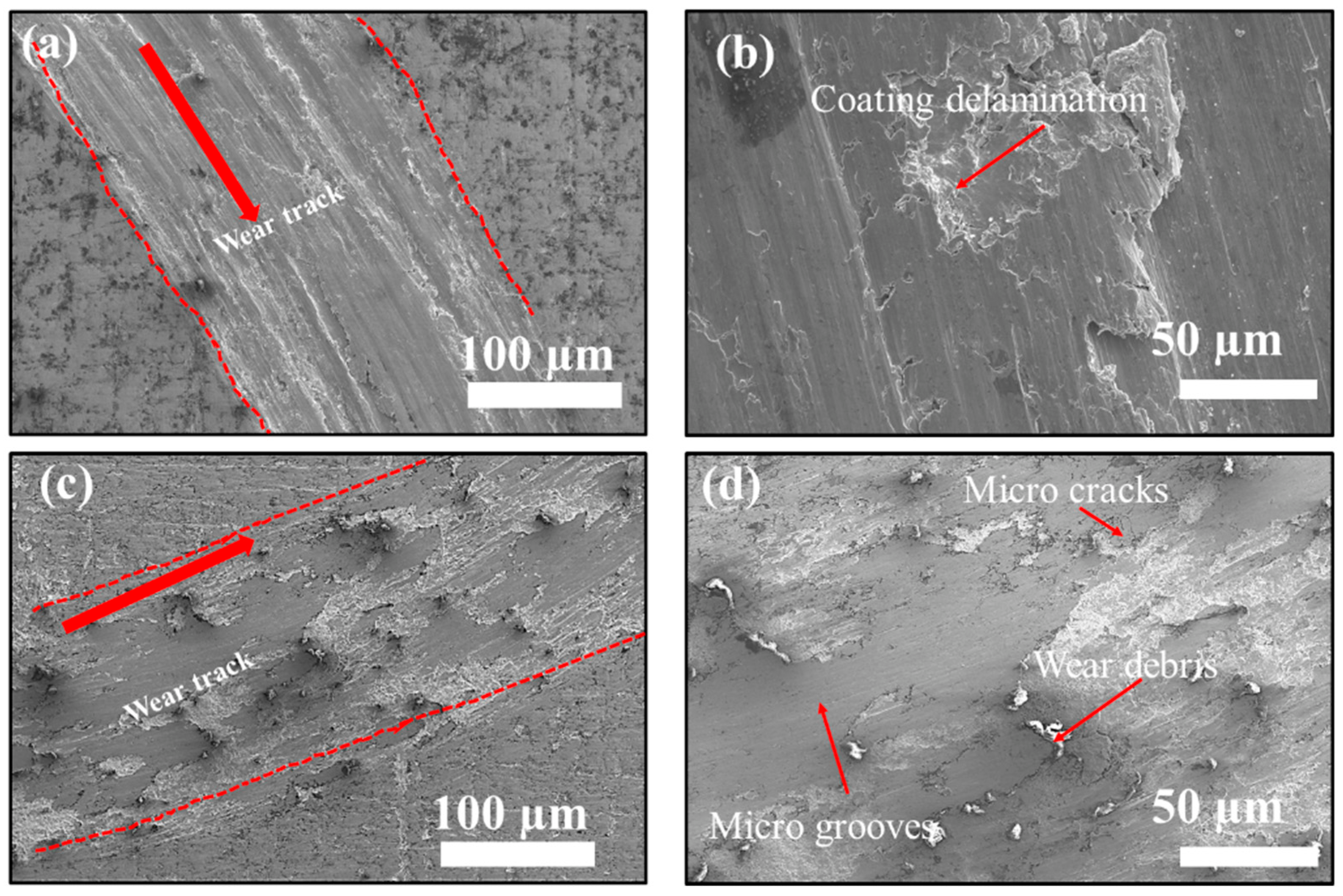 Coatings 12 01113 g012