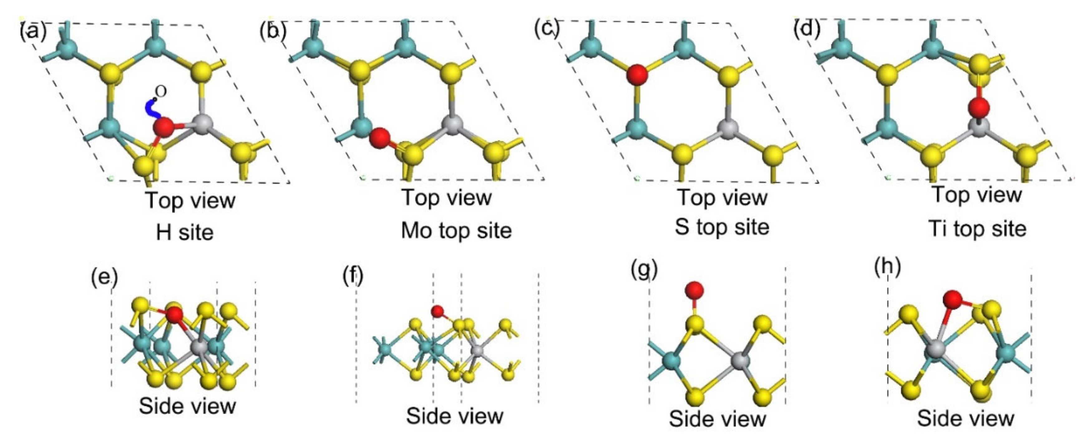 Coatings 12 01114 g005 550