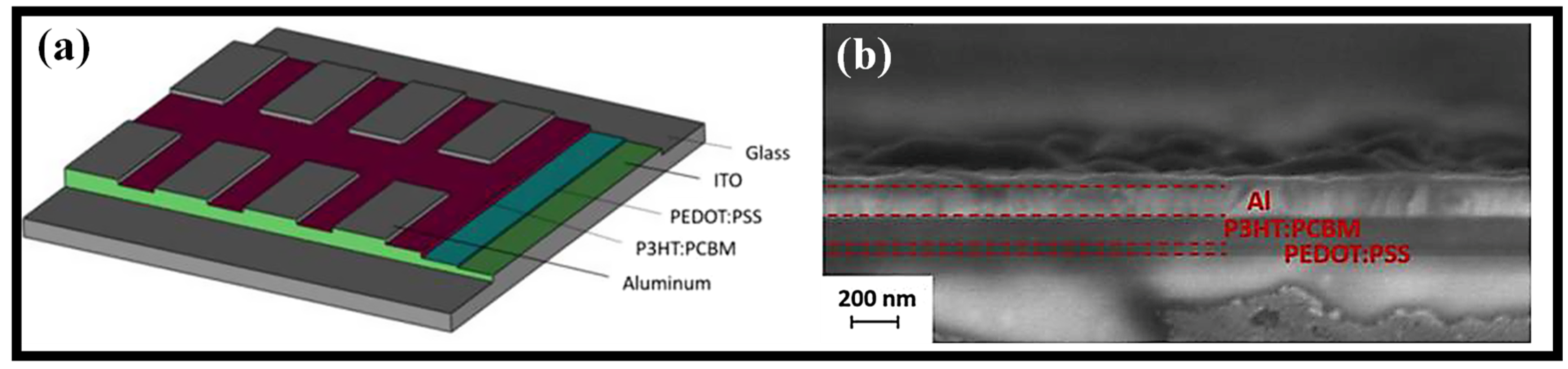 Coatings 12 01115 g006