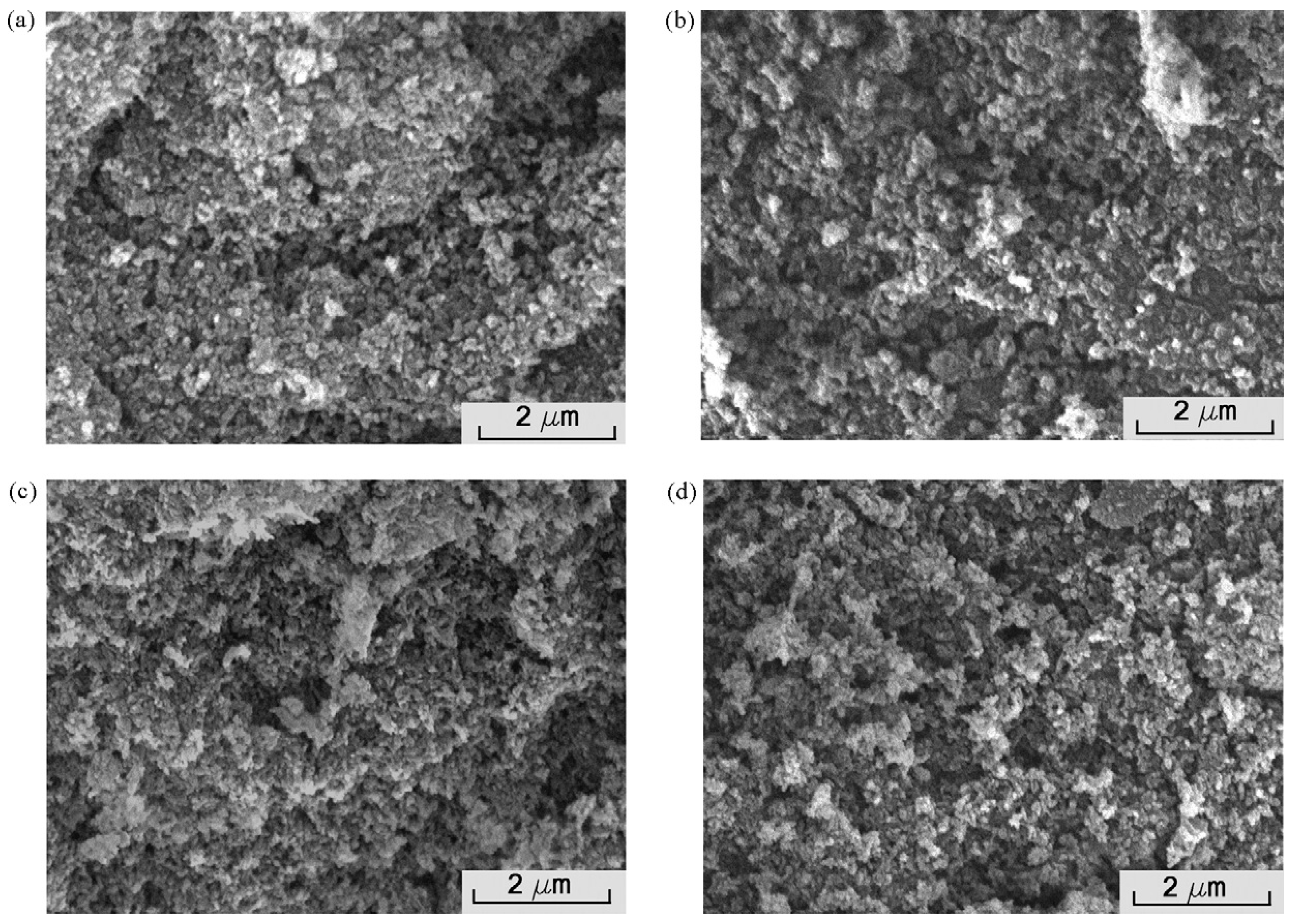 Coatings 12 01125 g001