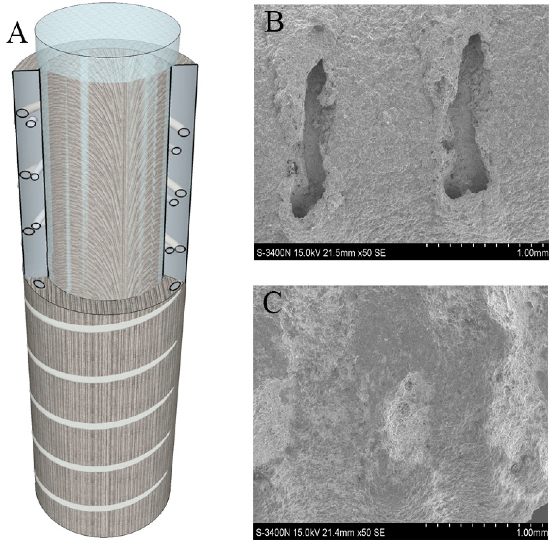 Coatings 12 01125 g002