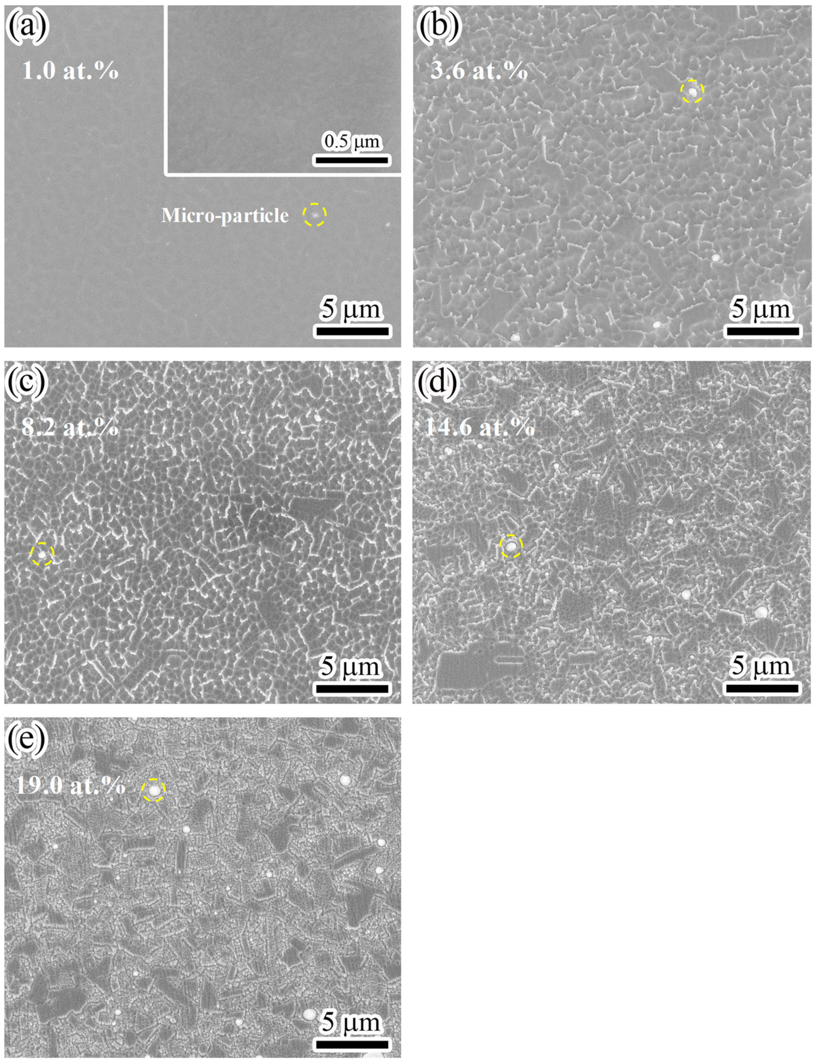 Coatings 12 01129 g002