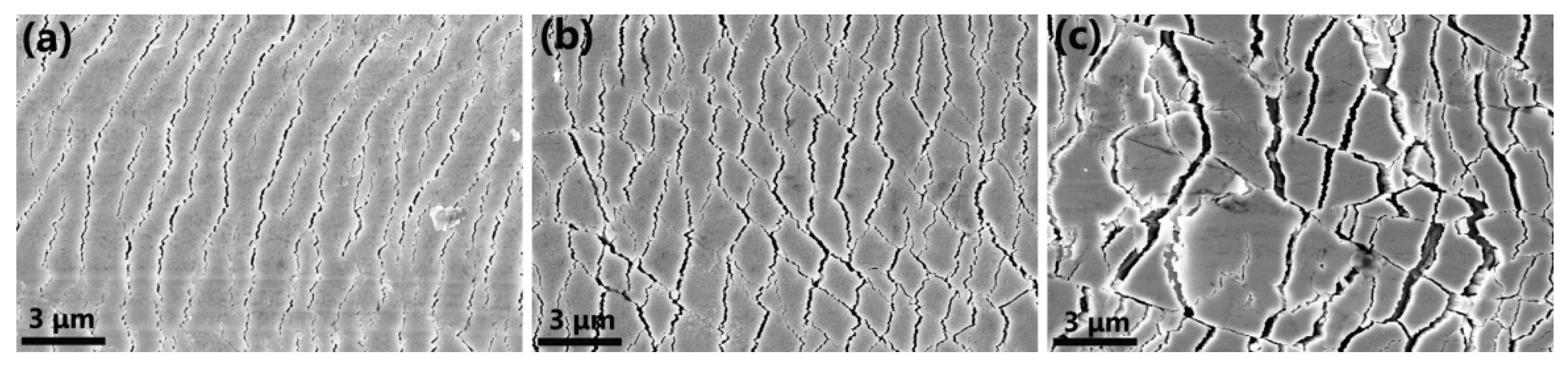 Coatings 12 01131 g019 Coatings 12 01131 g019